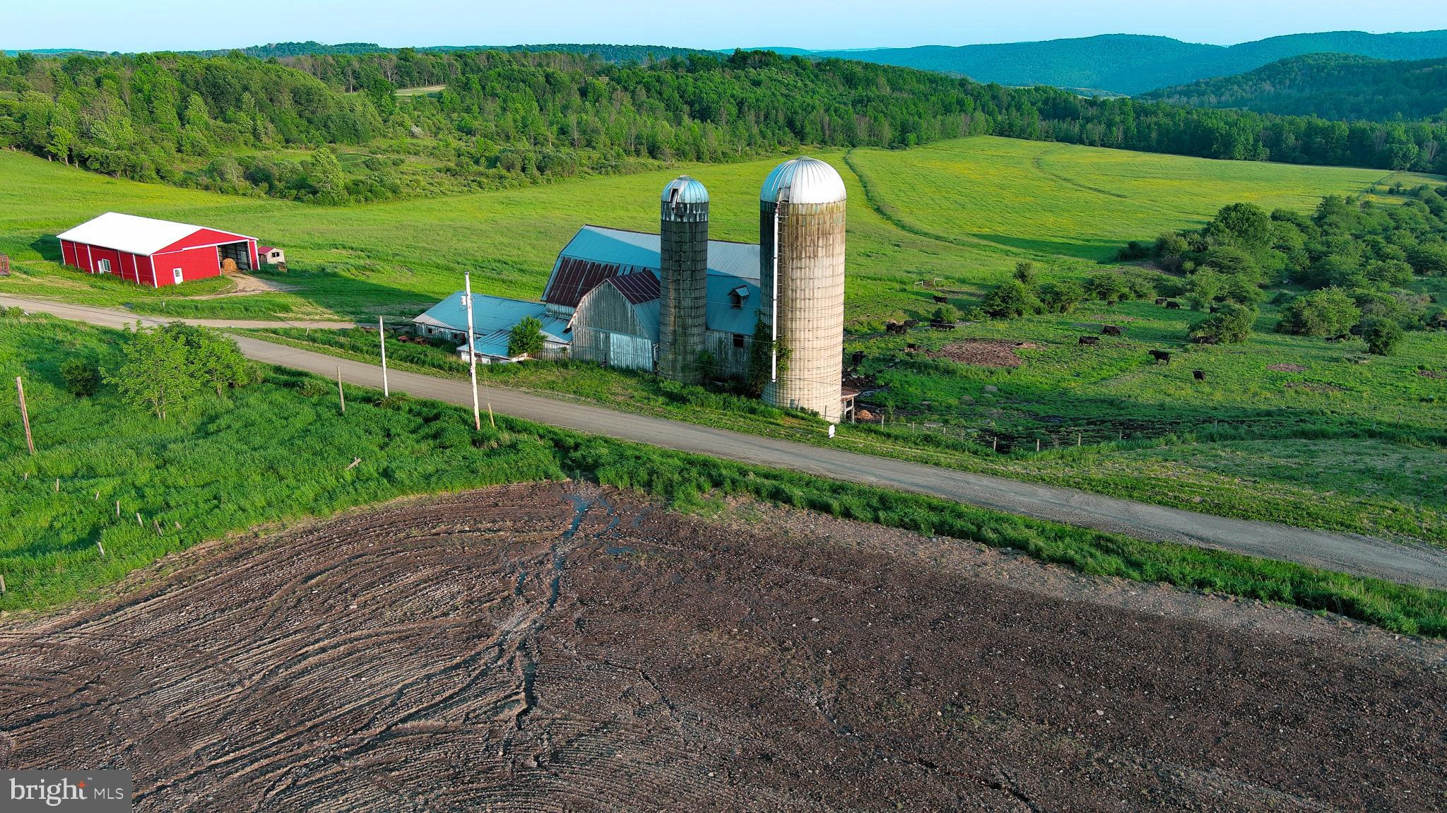 NONE AVAILABLE - Farm