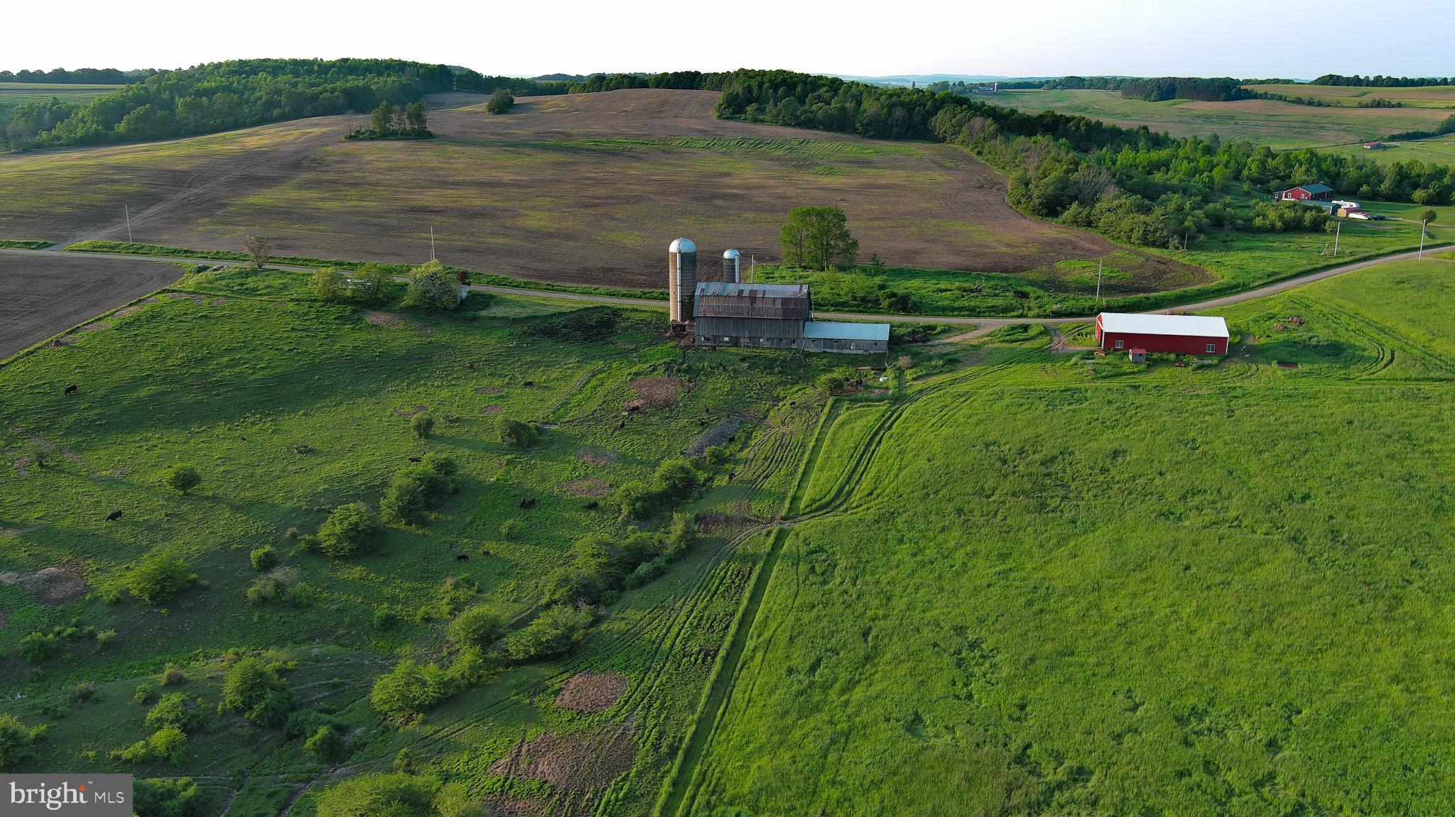 NONE AVAILABLE - Farm