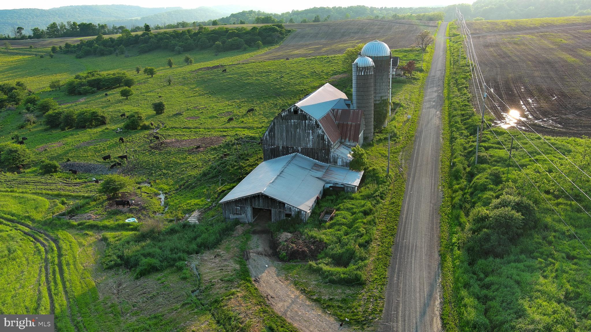 NONE AVAILABLE - Farm