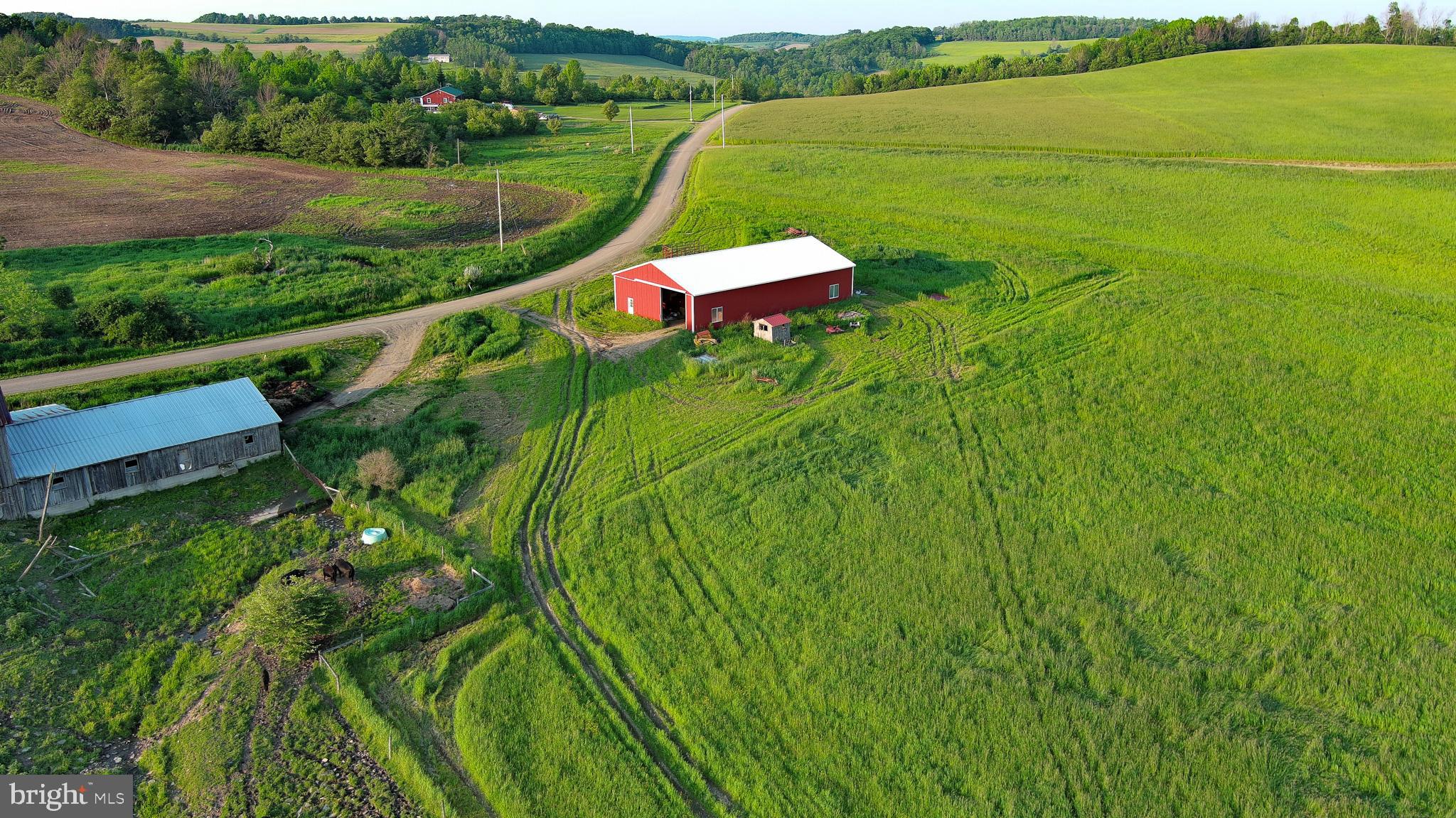 NONE AVAILABLE - Farm