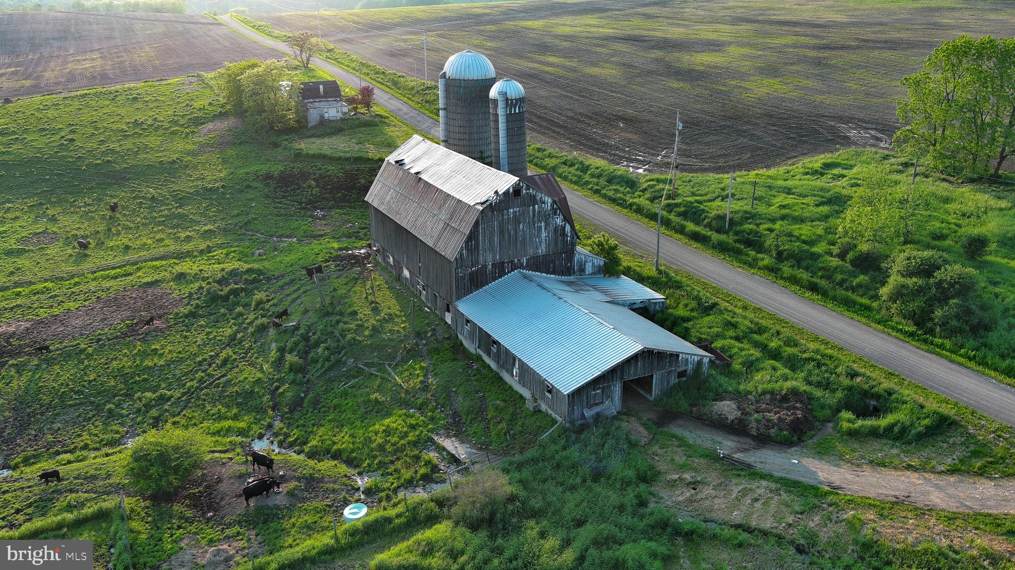 NONE AVAILABLE - Farm