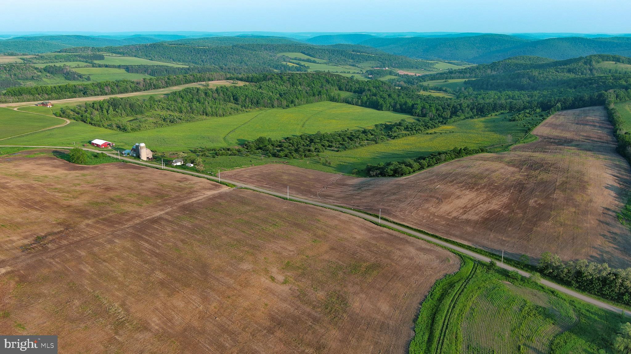 NONE AVAILABLE - Farm