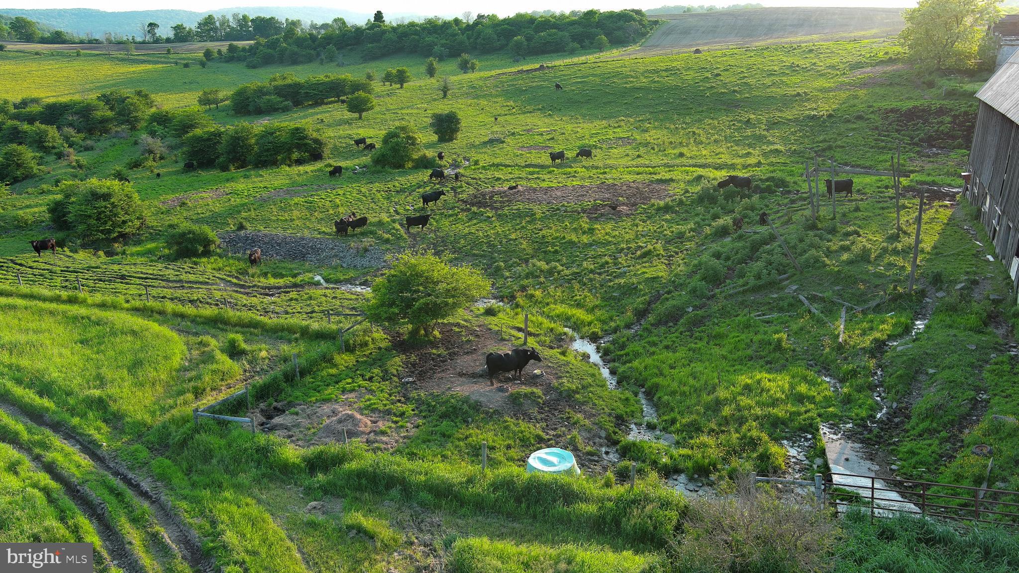 NONE AVAILABLE - Farm