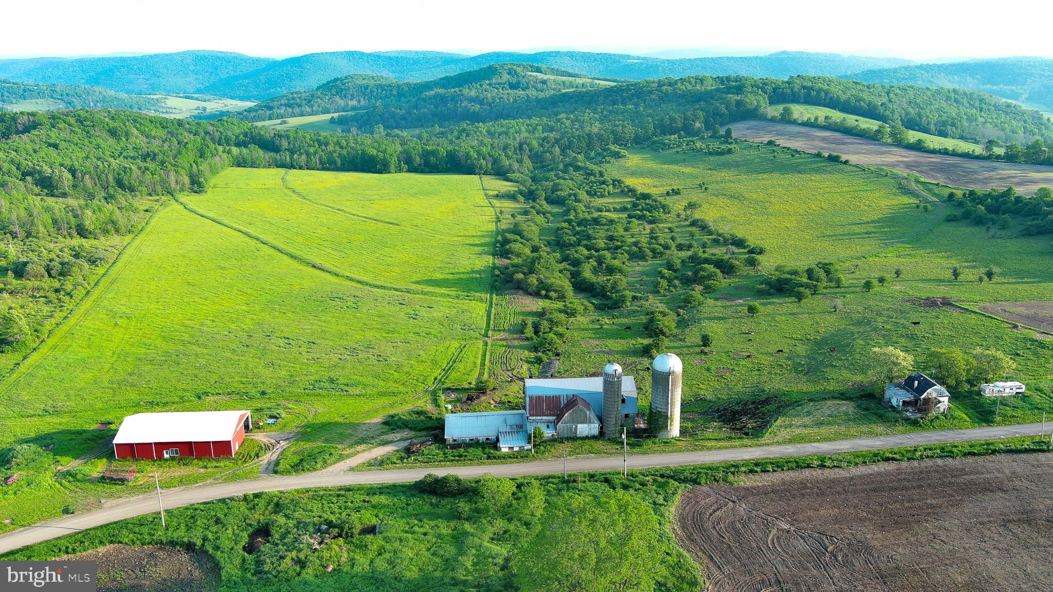 NONE AVAILABLE - Farm