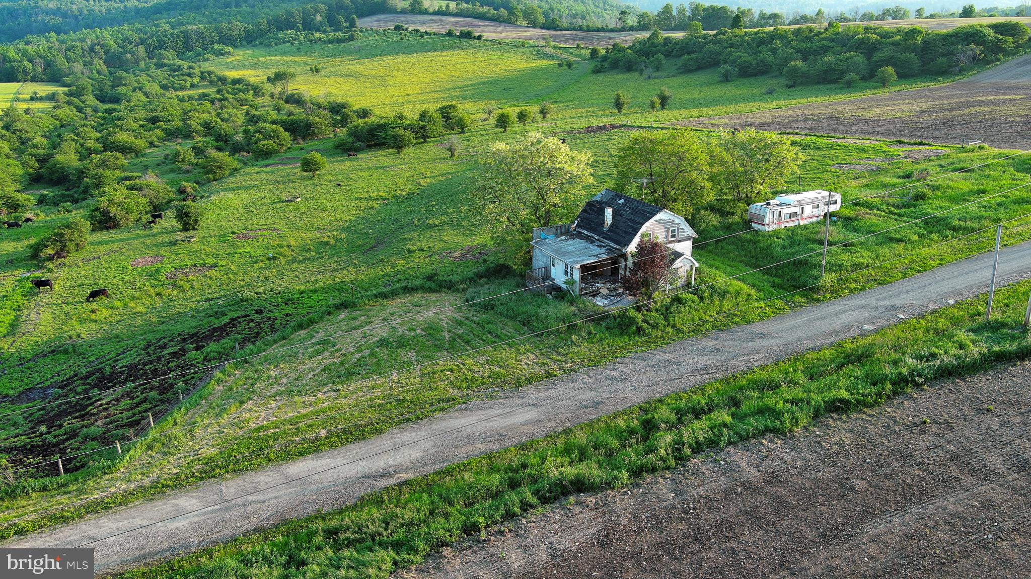 NONE AVAILABLE - Farm