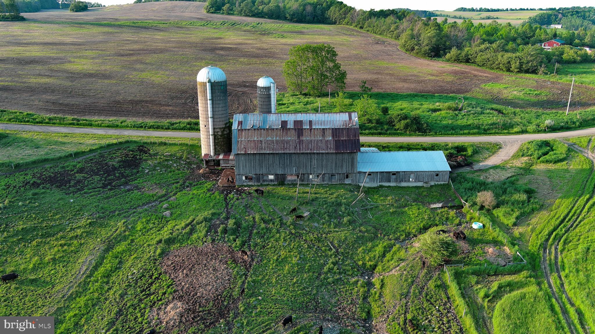 NONE AVAILABLE - Farm