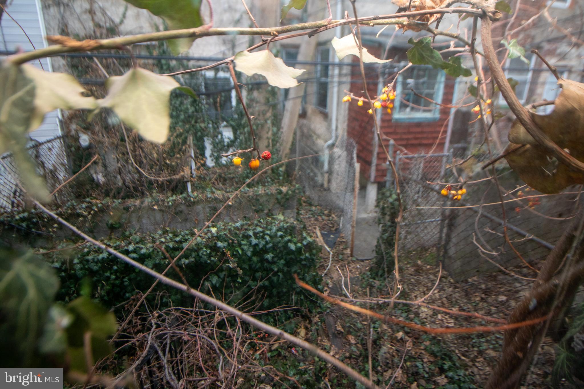 STRAWBERRY MANSION - Residential