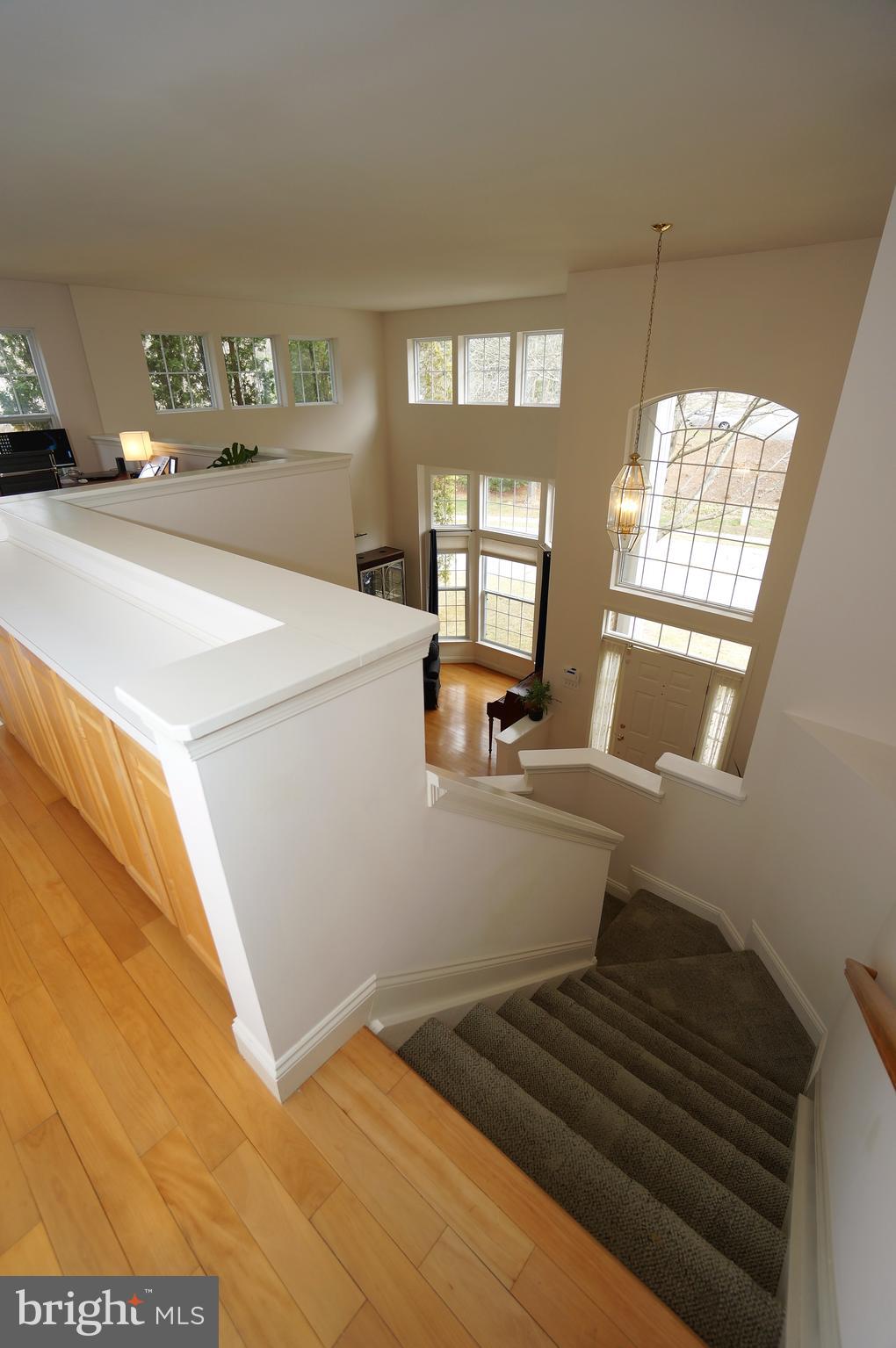 TRAILS AT WOODLOT - Residential