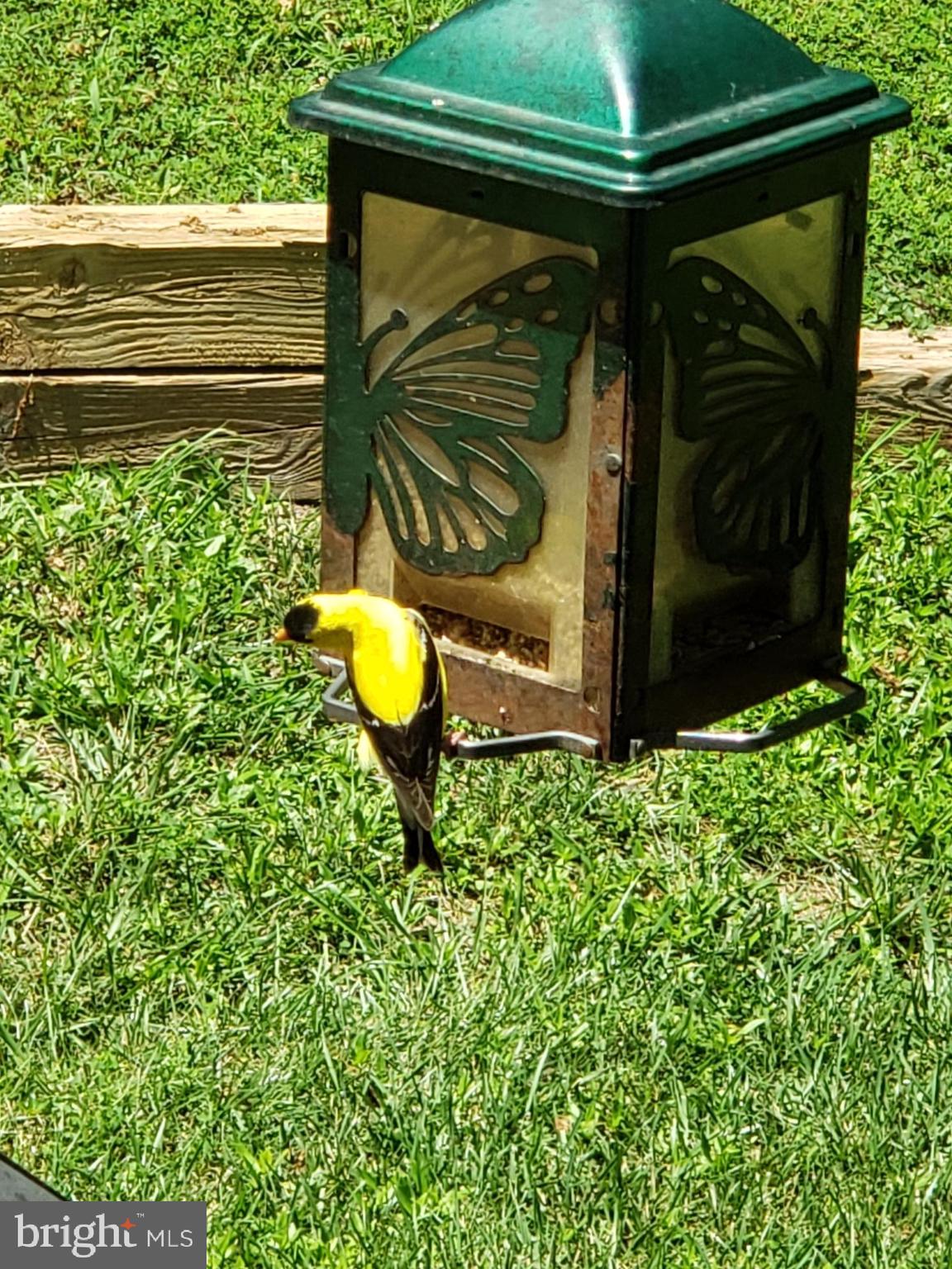 SPOTSWOOD NORTH - Residential