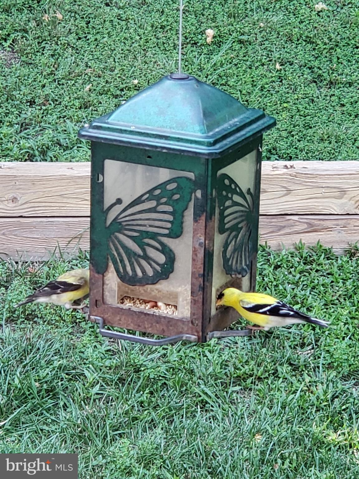 SPOTSWOOD NORTH - Residential