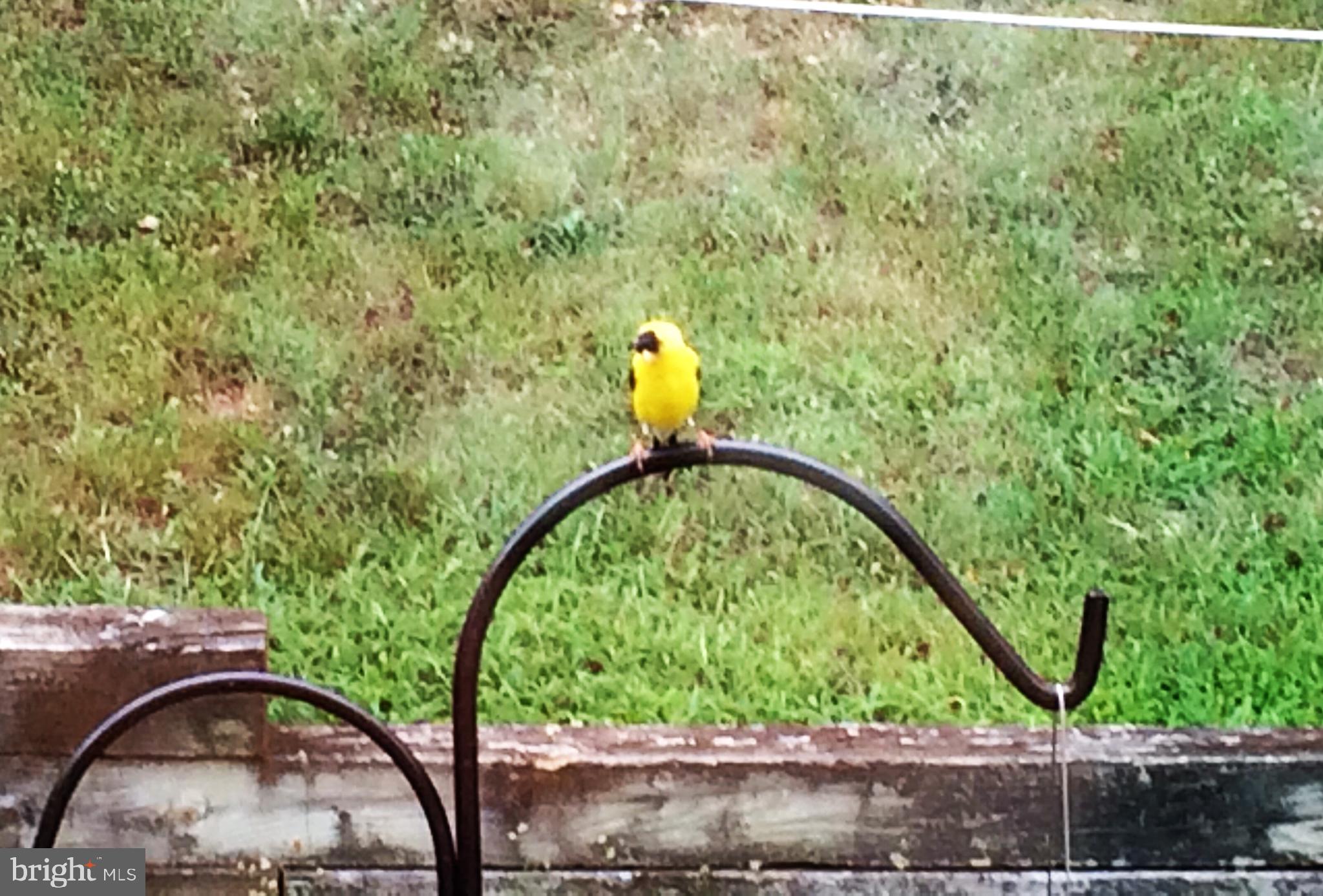 SPOTSWOOD NORTH - Residential