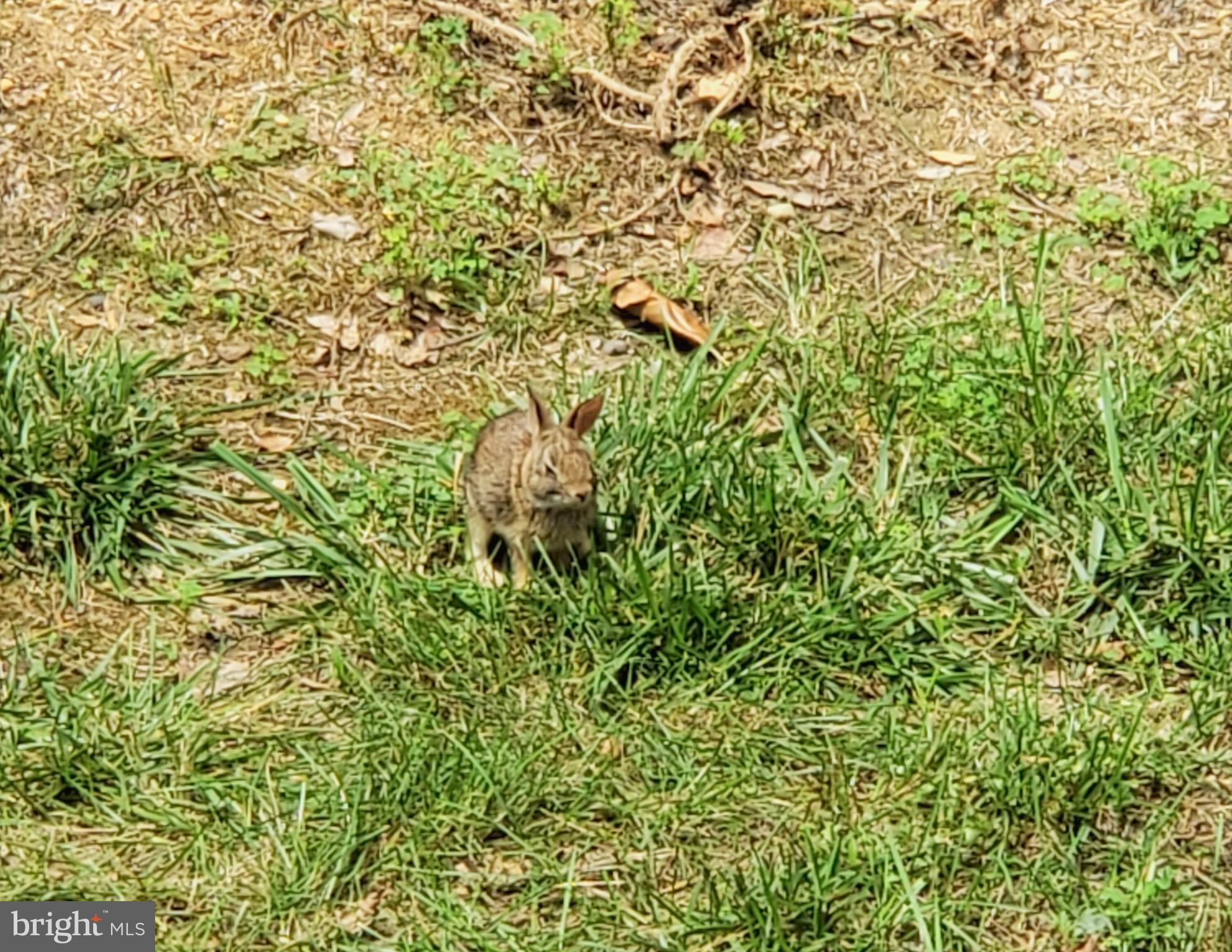 SPOTSWOOD NORTH - Residential