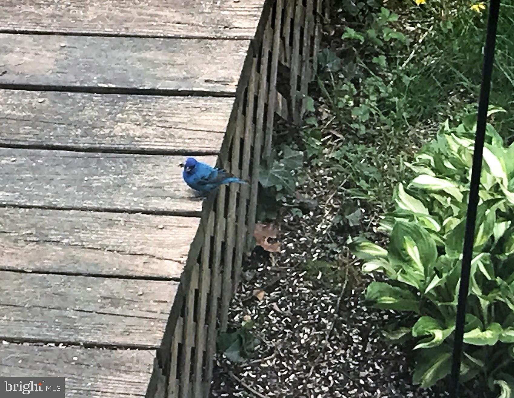 SPOTSWOOD NORTH - Residential