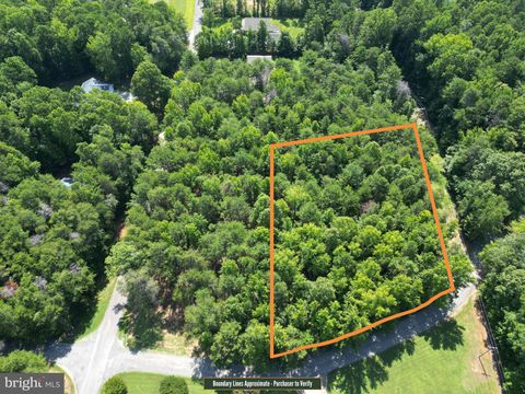 Vacant Land For Sale - 00 Carriage Lane<br/> Mecklenburg County, CLARKSVILLE, VA 23927