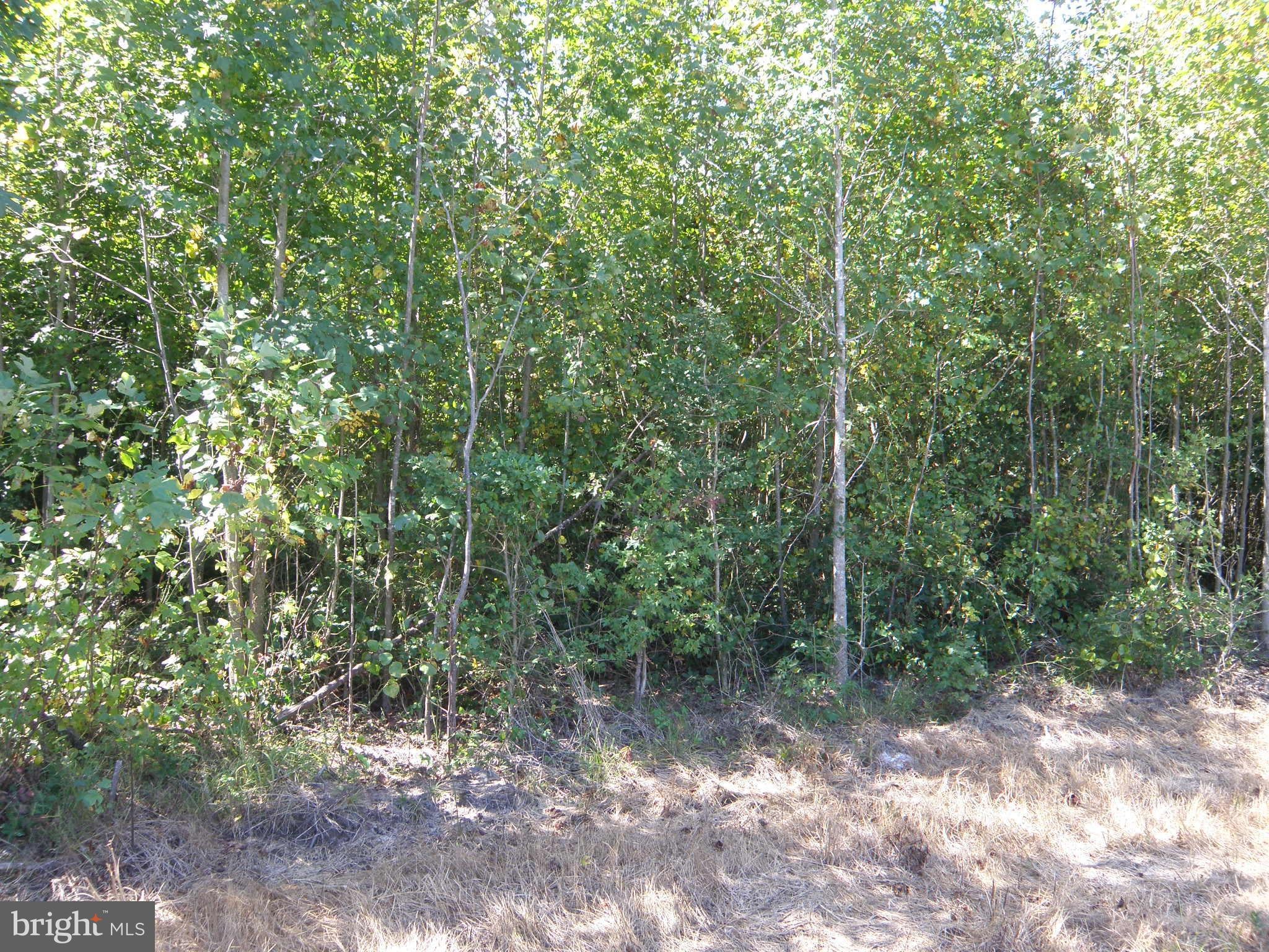 Lot D - 133-9.00-9.21 LOT D EASEMENT OFF OF SHORTLY RD