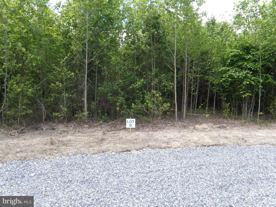 Located by private easement this wooded 1.332 +/- acre building lot is waiting for you. There are no Builder tie-ins and minimum restrictions on size and type of house. So, bring your builder and plans and begin work on a new home. DNREC approved evaluation for an elevated sand mound septic system.