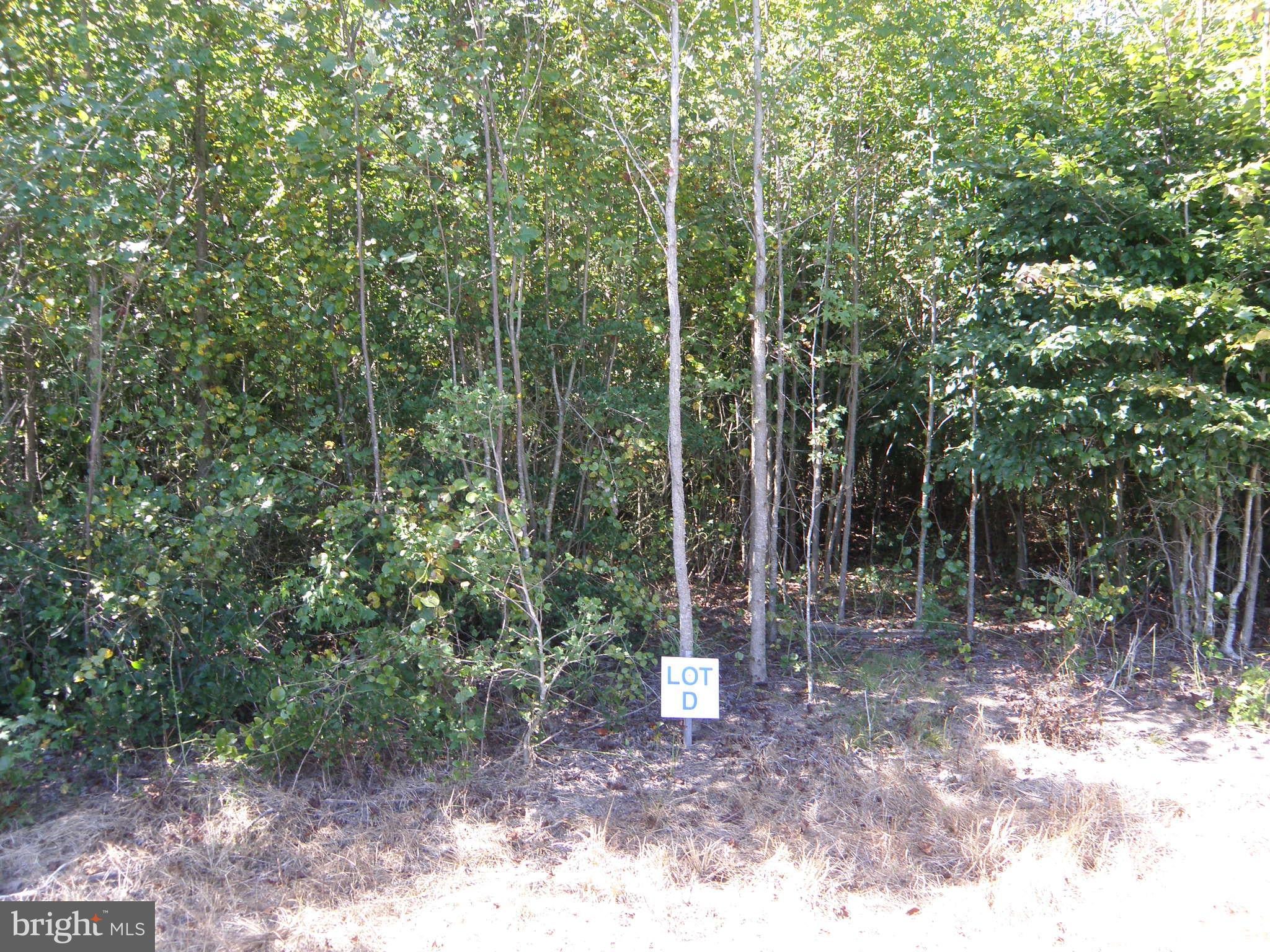 Lot D - 133-9.00-9.21 LOT D EASEMENT OFF OF SHORTLY RD