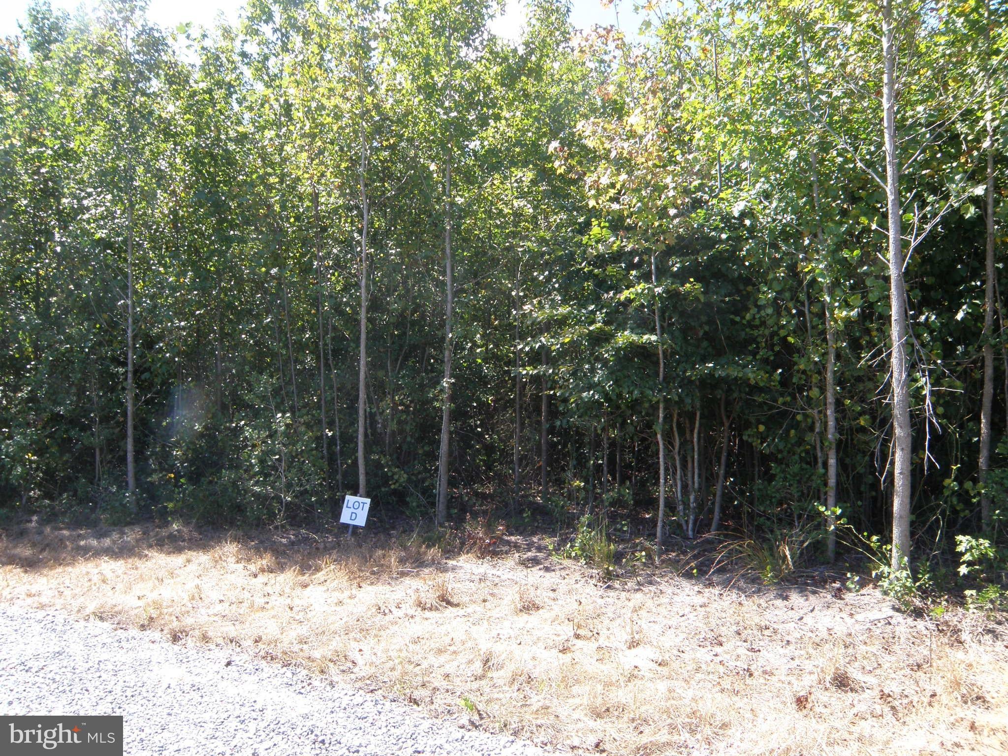 Lot D - 133-9.00-9.21 LOT D EASEMENT OFF OF SHORTLY RD
