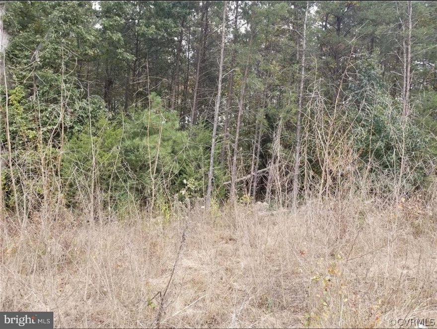 Wooded lot with frontage on Rt. 301 (Richmond Turnpike). Alternative septic needed. Ideal for walk out level basement.