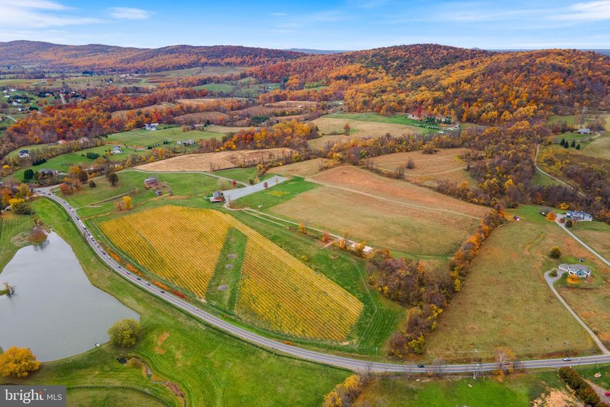 Fabulous 75 acre land parcel just west of the Town of Hillsboro, Virginia in Conservation Easement. The property includes 14 acres of grapevines consisting of Cabernet Franc, Petit Verdot, Chardonnay, Sauvignon Blanc and Viognier. Additionally, 15 more acres have been fenced off with 11 acres of trellis ready for planting. The conservation easement makes the property ideal for a winery/tasting room, an equestrian estate or just a lovely private home. Enjoy the spectacular views from high up on the property, which is partly wooded and partly open space.