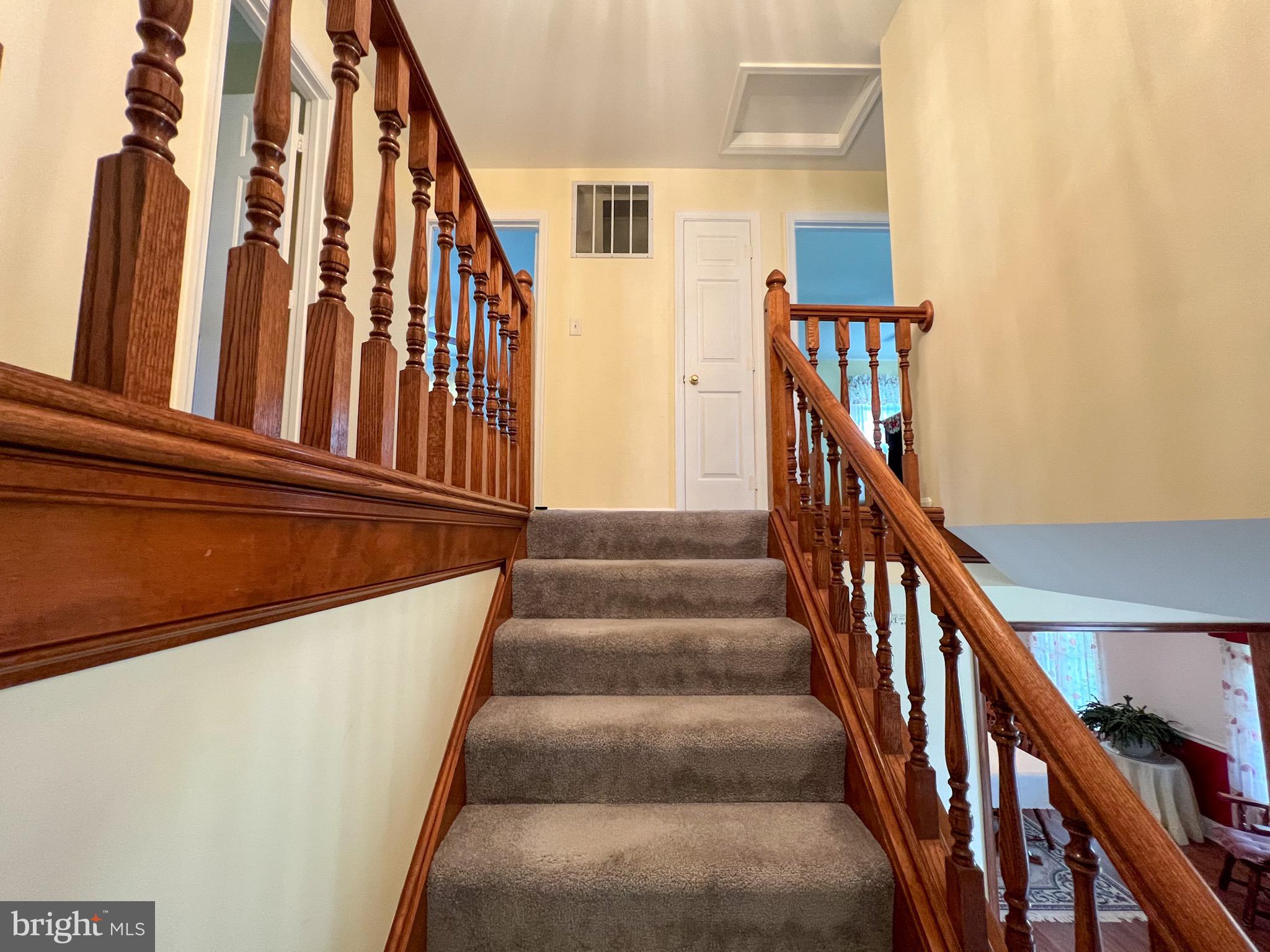 KAVANAUGH MEADS - Residential