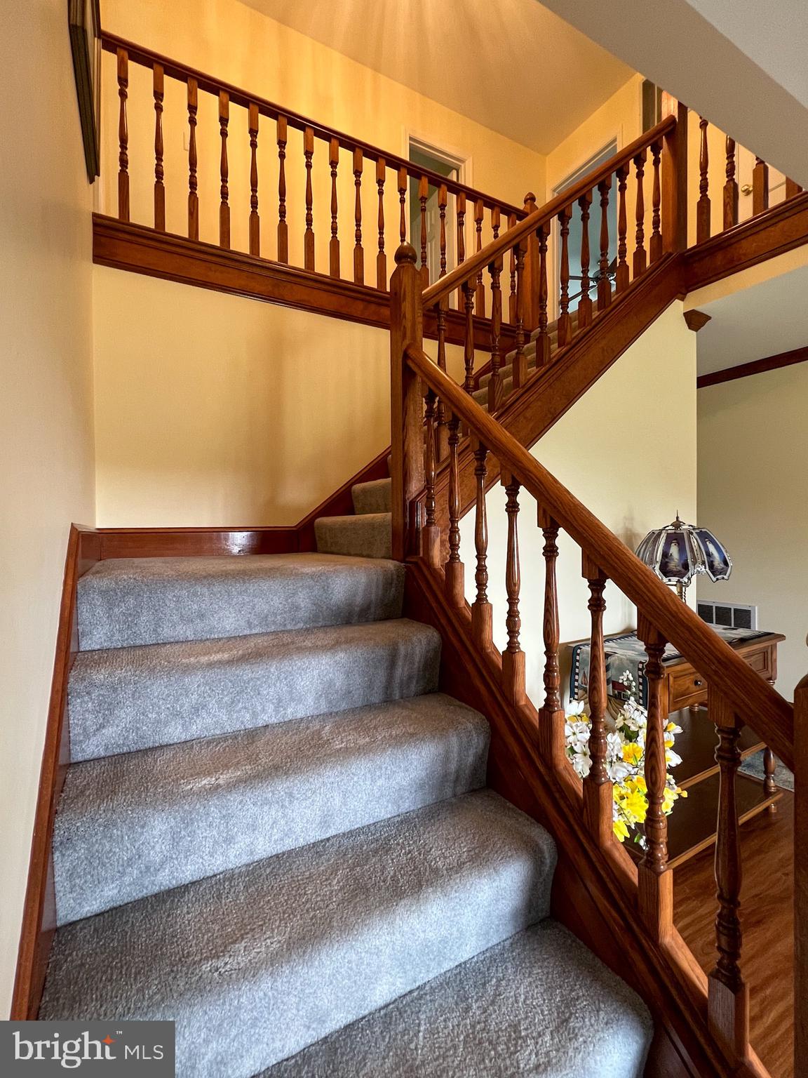 KAVANAUGH MEADS - Residential