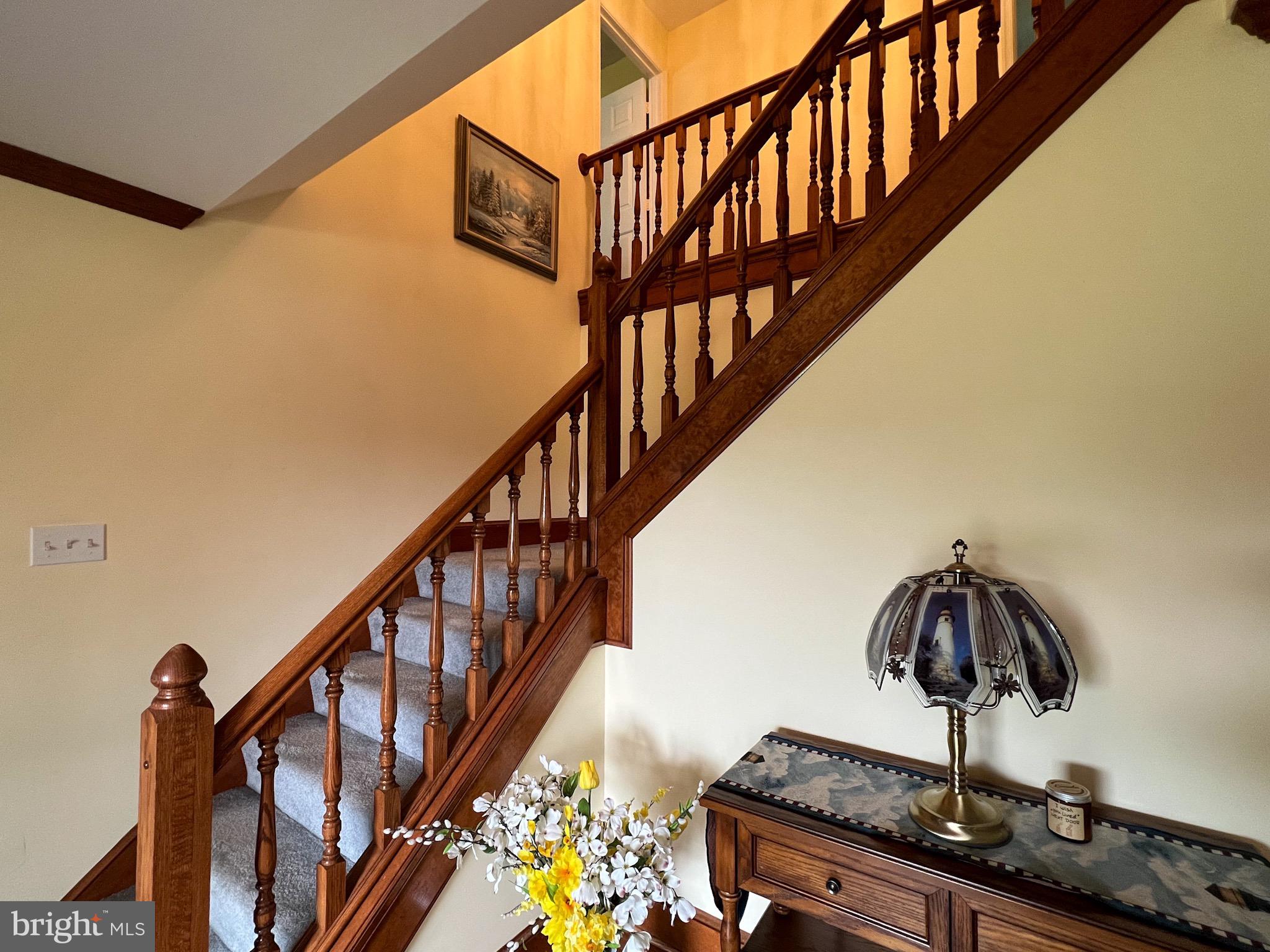 KAVANAUGH MEADS - Residential