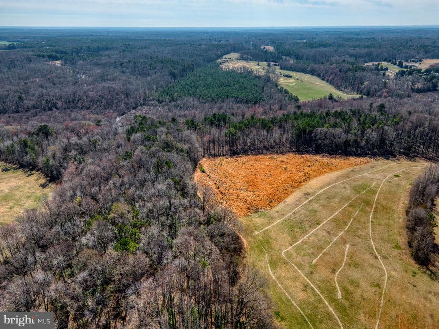 Discover the perfect blend of natural beauty and recreational opportunity on this expansive 16.9-acre property nestled in western Hanover County.  Bordered by the serene Newfound River, this partially cleared land boasts mature hardwoods, offering an ideal setting for hunting enthusiasts or those interested in timbering. Touring is a breeze via a clearly marked access road; future driveway will be on existing 50' access easement marked on plat per Hanover County Zoning. The location ensures both privacy and convenience! Whether you're envisioning a private retreat or exploring investment possibilities, this versatile tract provides a unique canvas for your dream home, getaway, or family-building spot! No soil work has been conducted on the property.