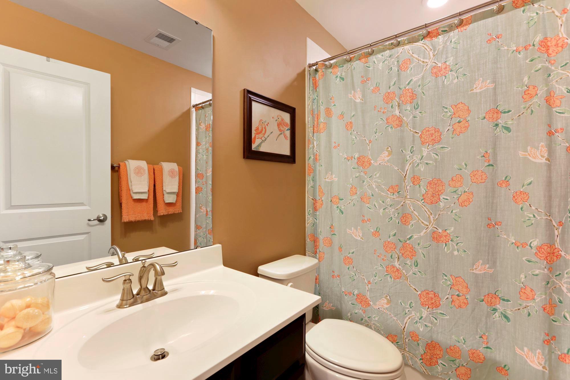 LOVETTSVILLE TOWN CENTER - Residential