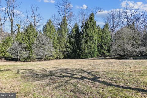 listing image 51
