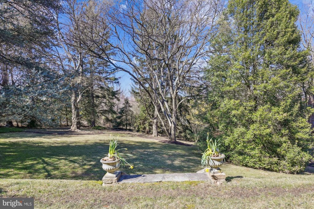 listing image 52