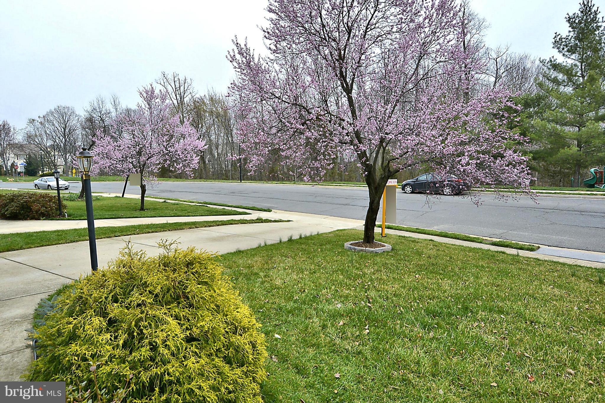 GREEN TRAILS - Residential