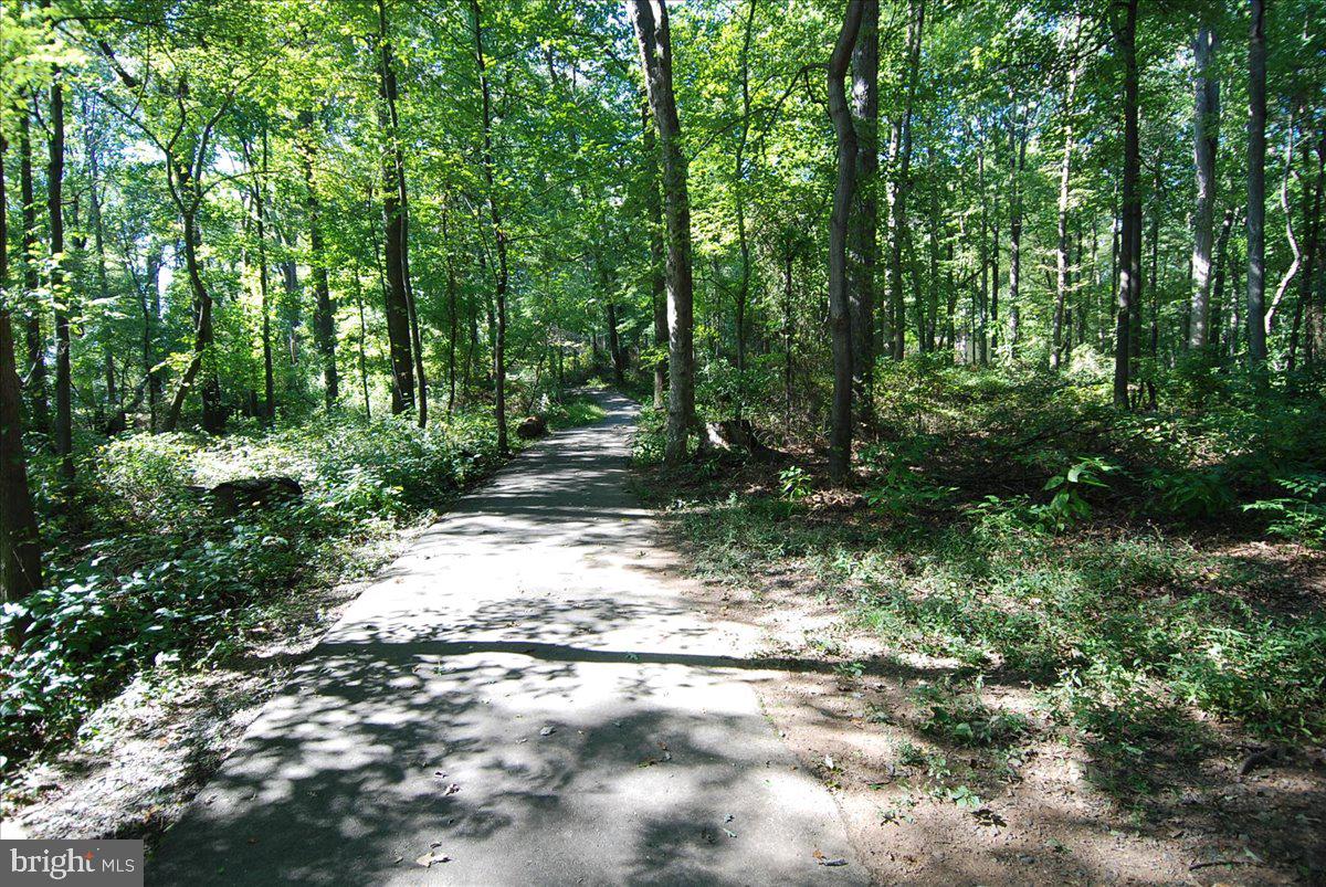 SANDBURG PARK - Residential