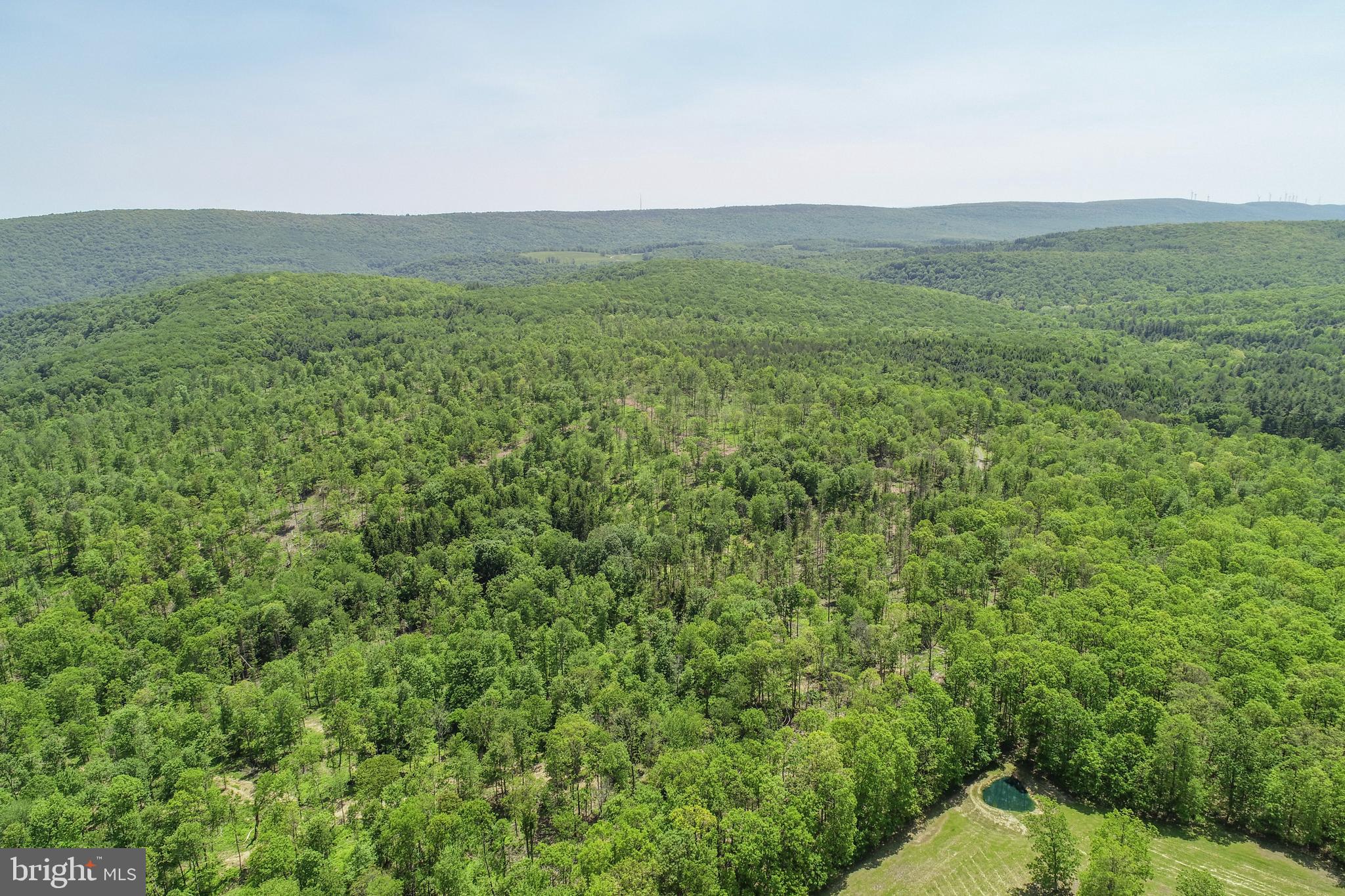 2026 SPRING LICK ROAD