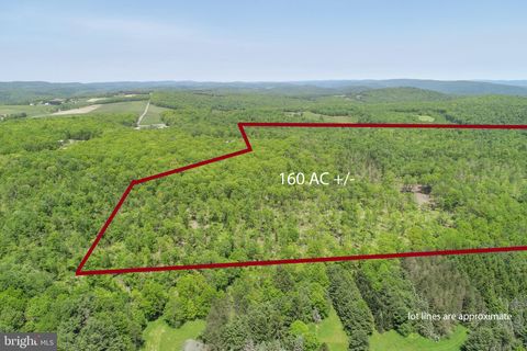 2026 SPRING LICK ROAD SWANTON MD 21561