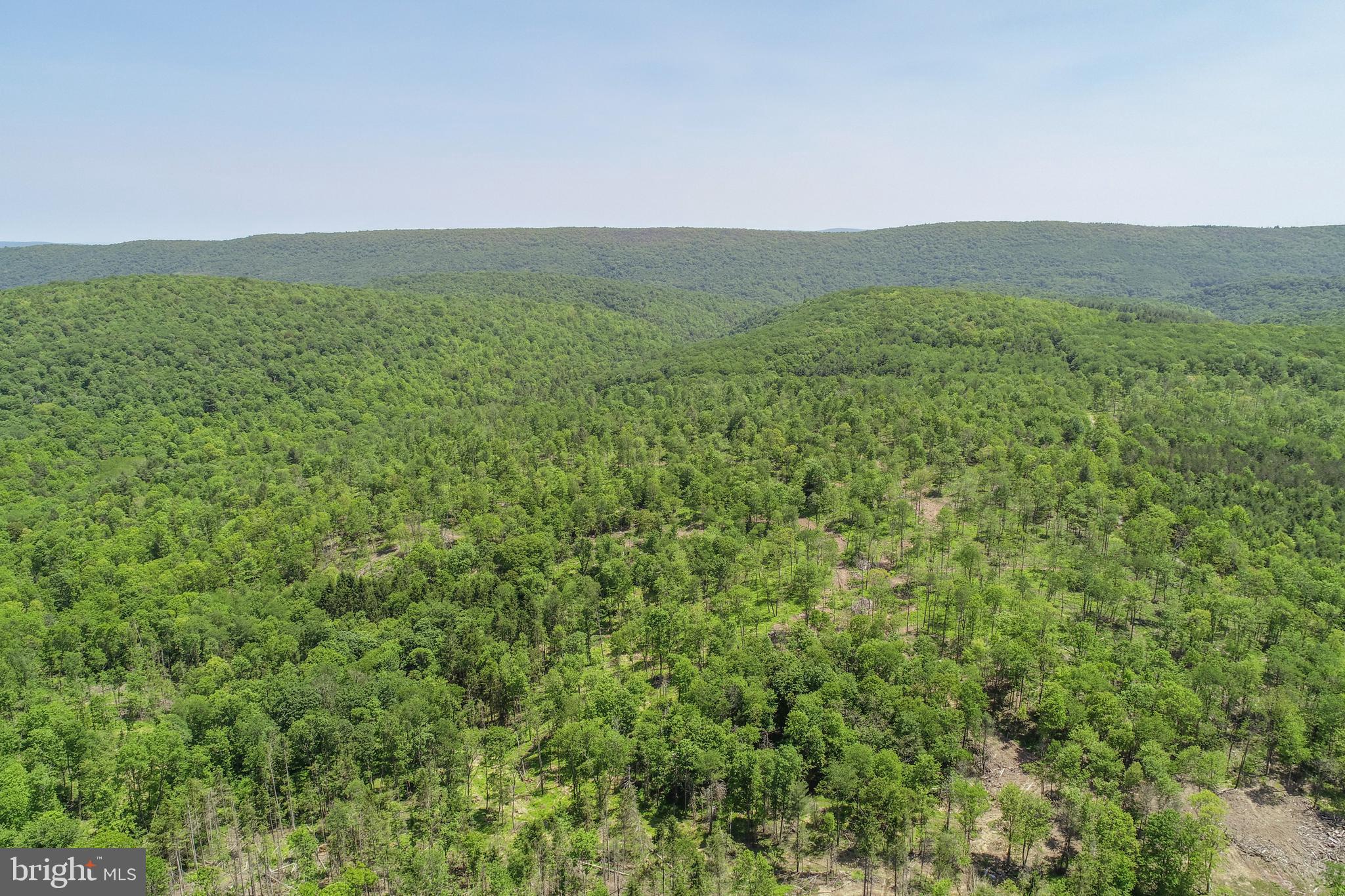 2026 SPRING LICK ROAD