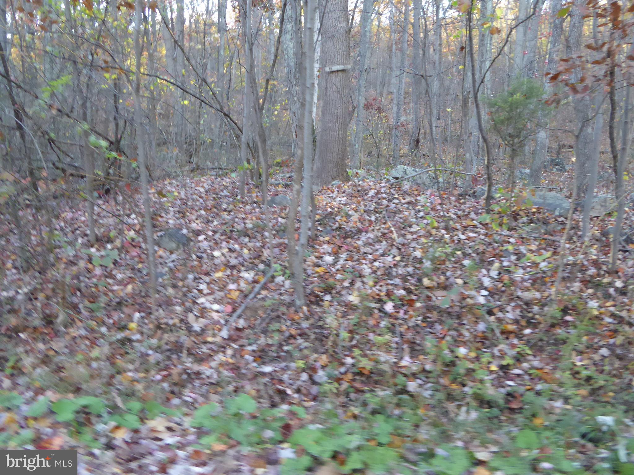 EAGLE MOUNTAIN - Land