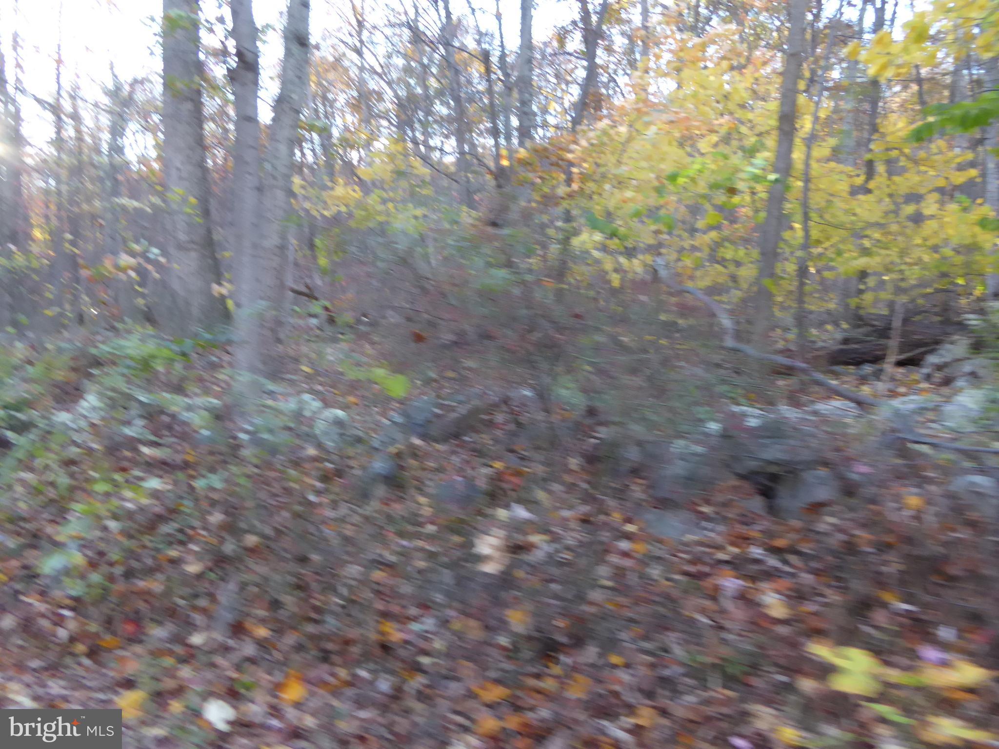 EAGLE MOUNTAIN - Land