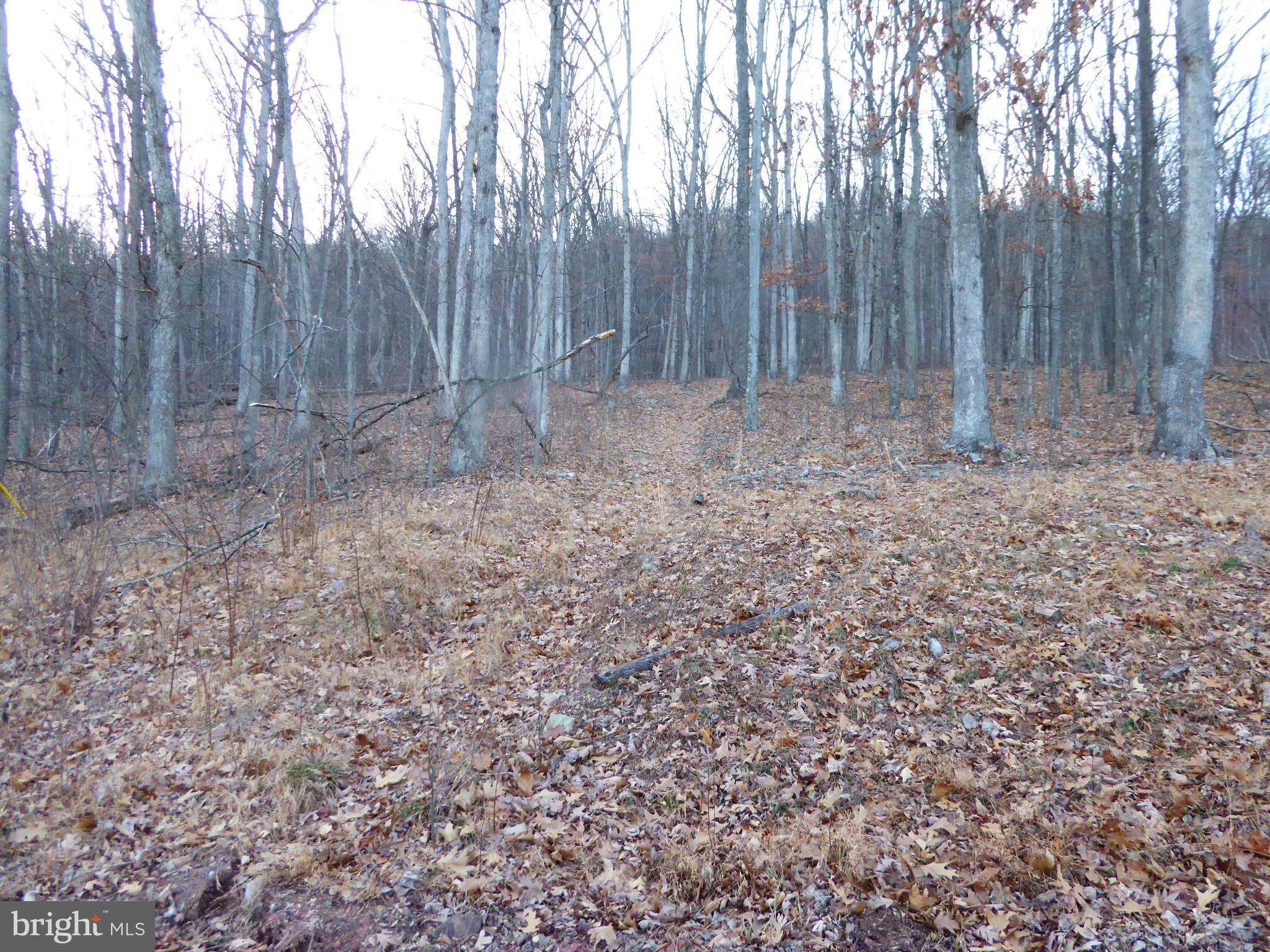 EAGLE MOUNTAIN - Land