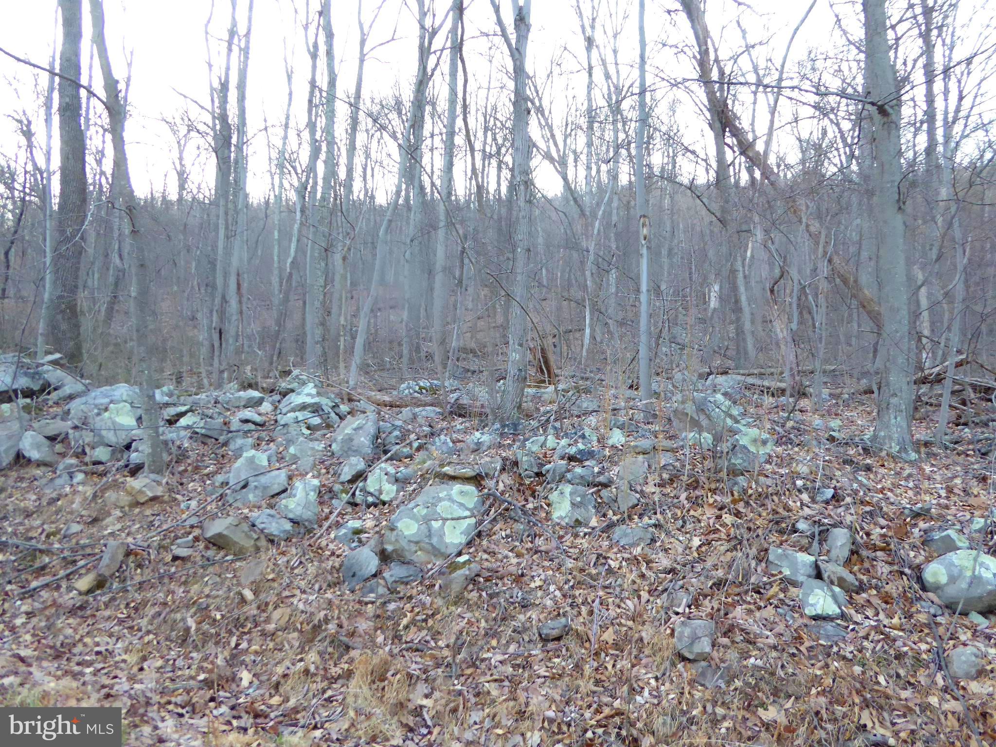 EAGLE MOUNTAIN - Land