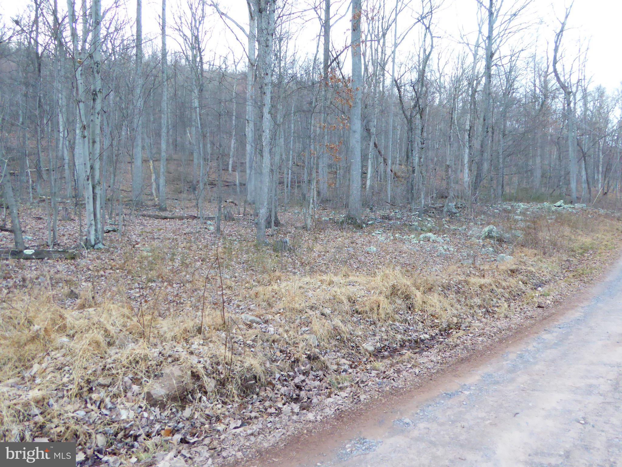 EAGLE MOUNTAIN - Land