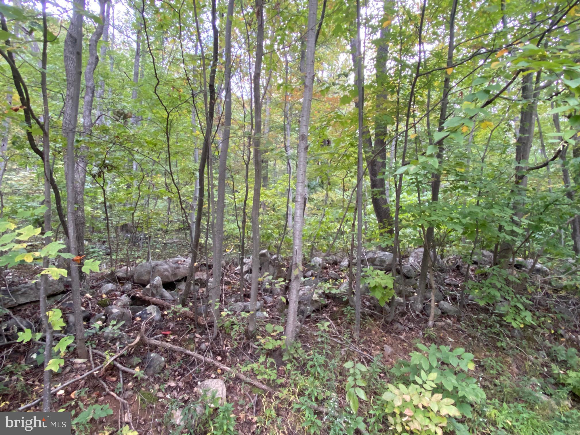 EAGLE MOUNTAIN - Land