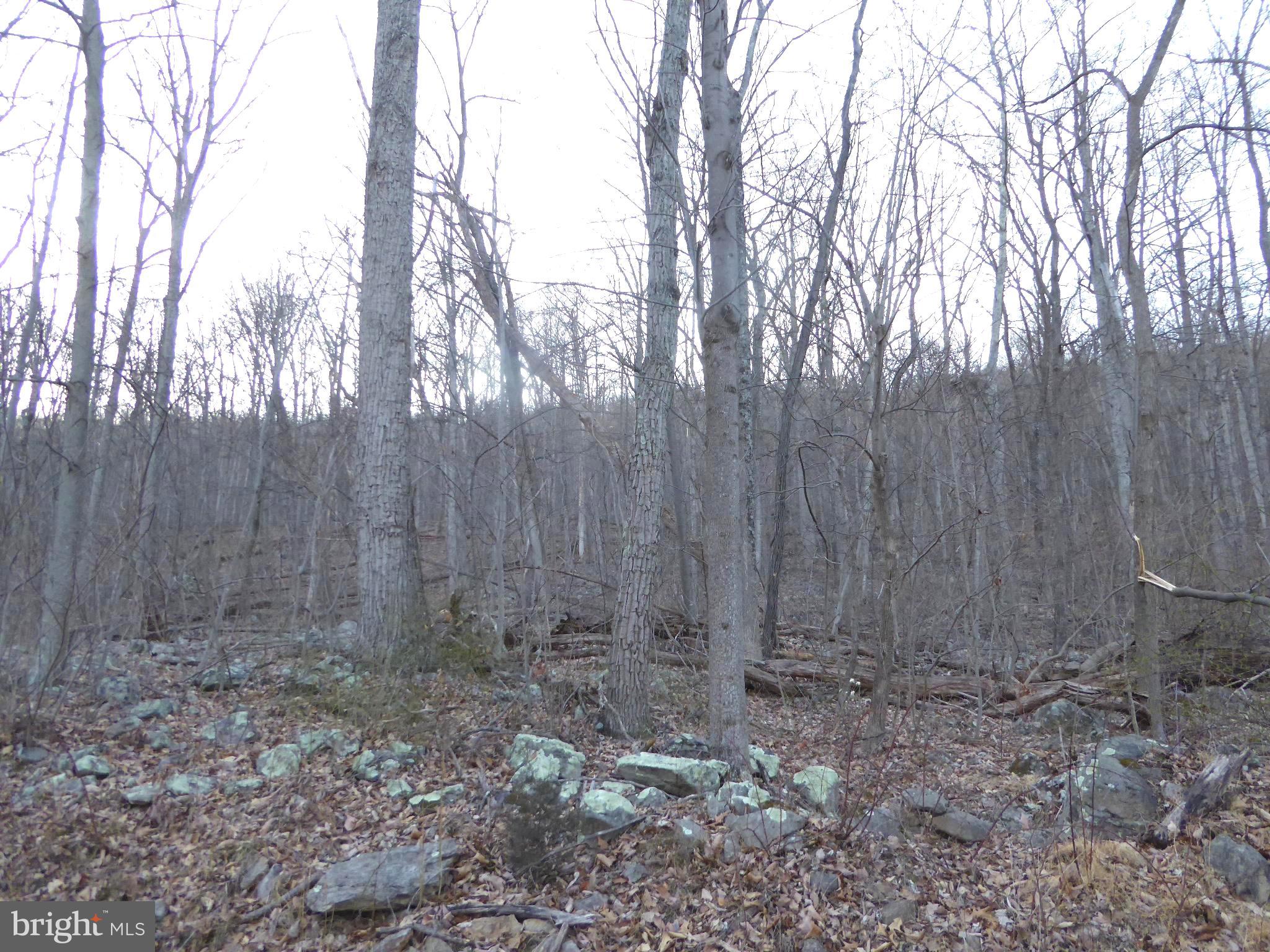 EAGLE MOUNTAIN - Land