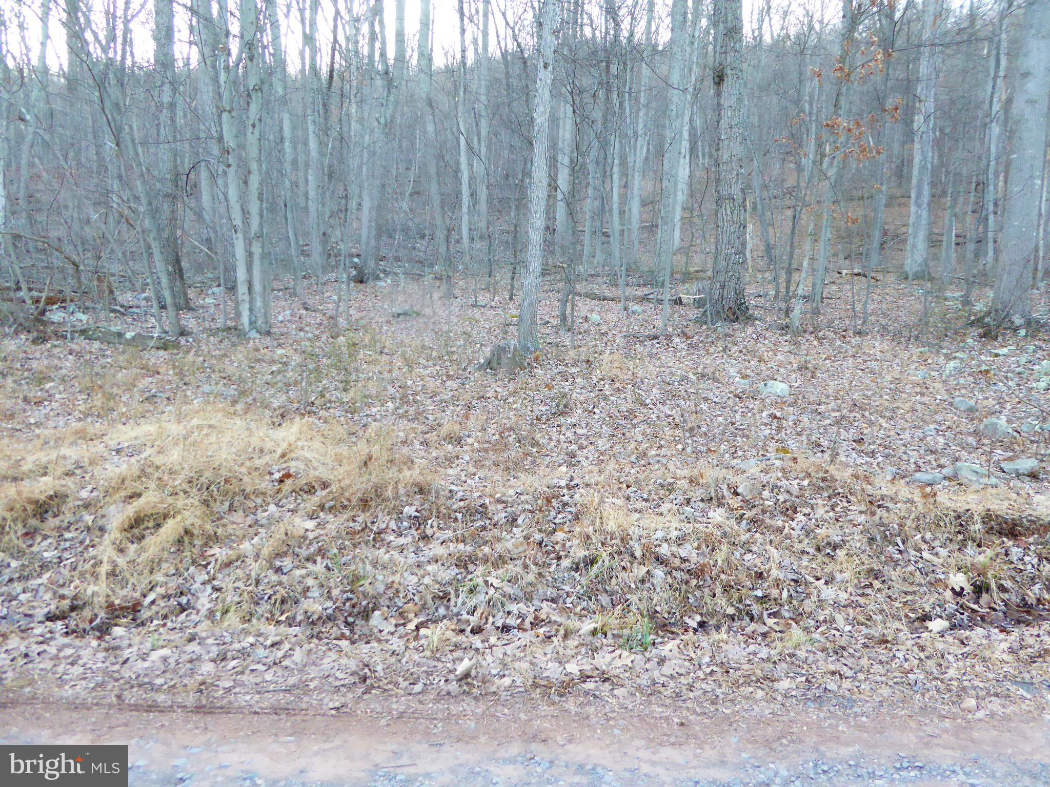 EAGLE MOUNTAIN - Land