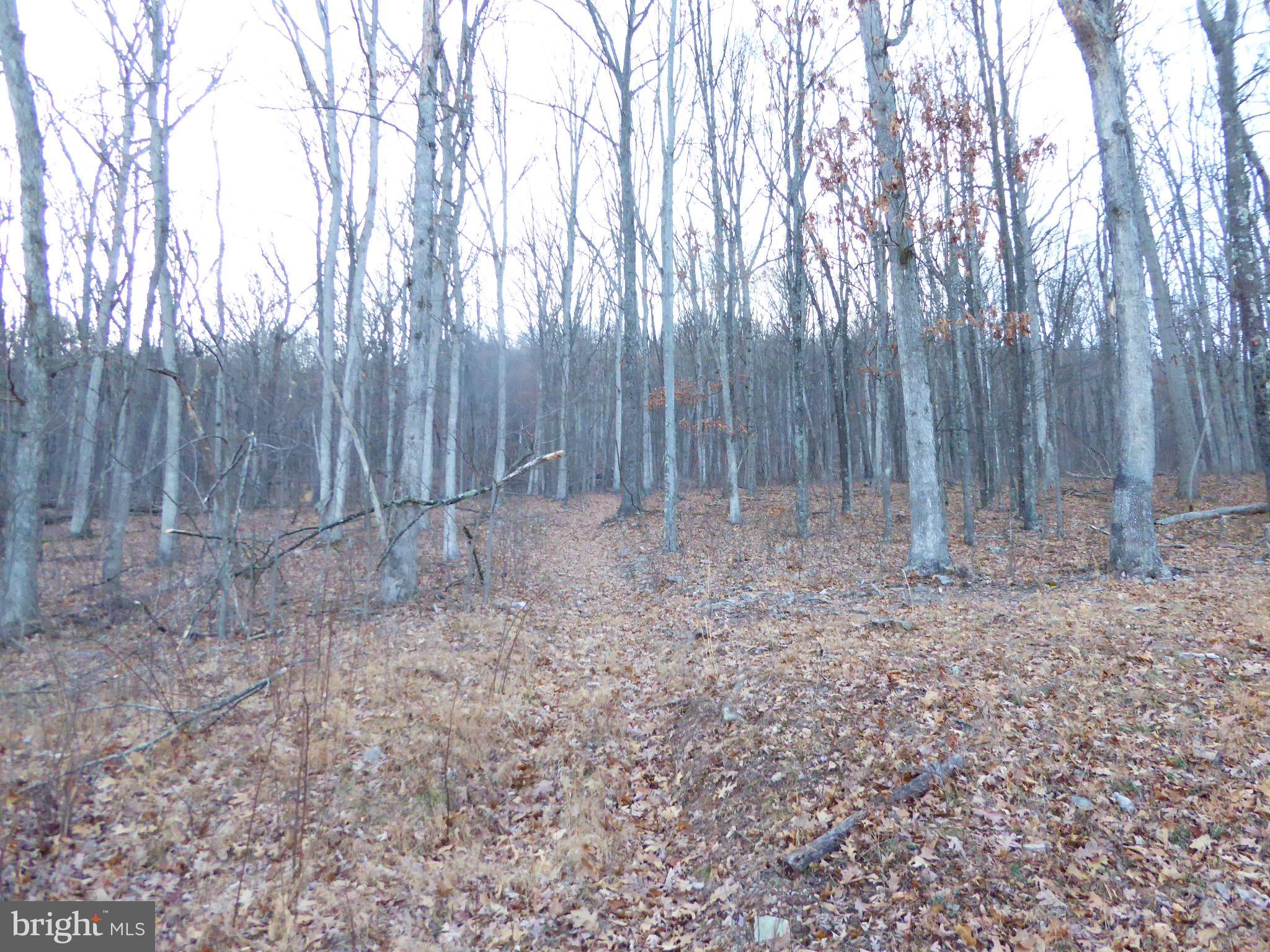 EAGLE MOUNTAIN - Land