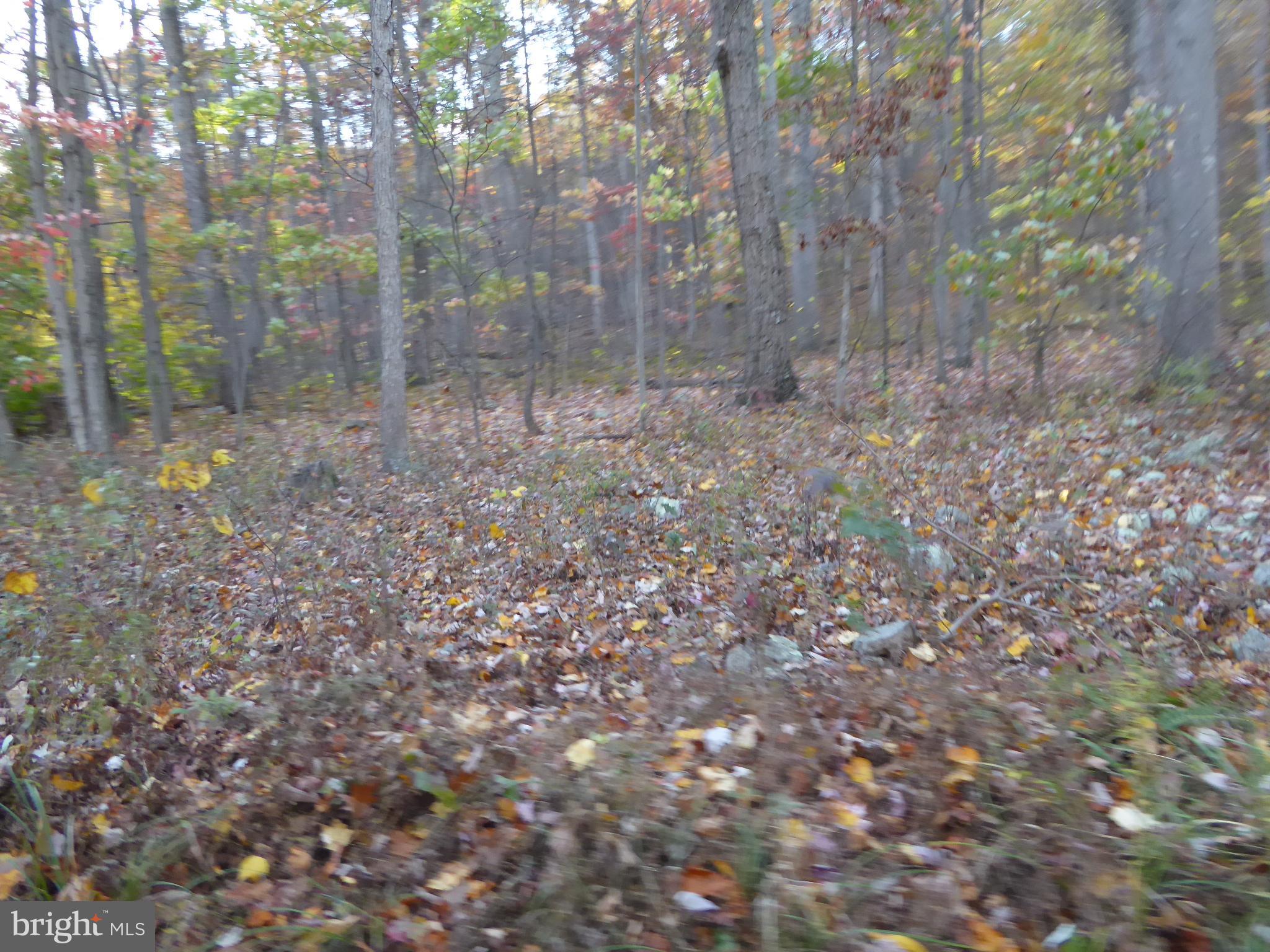 EAGLE MOUNTAIN - Land