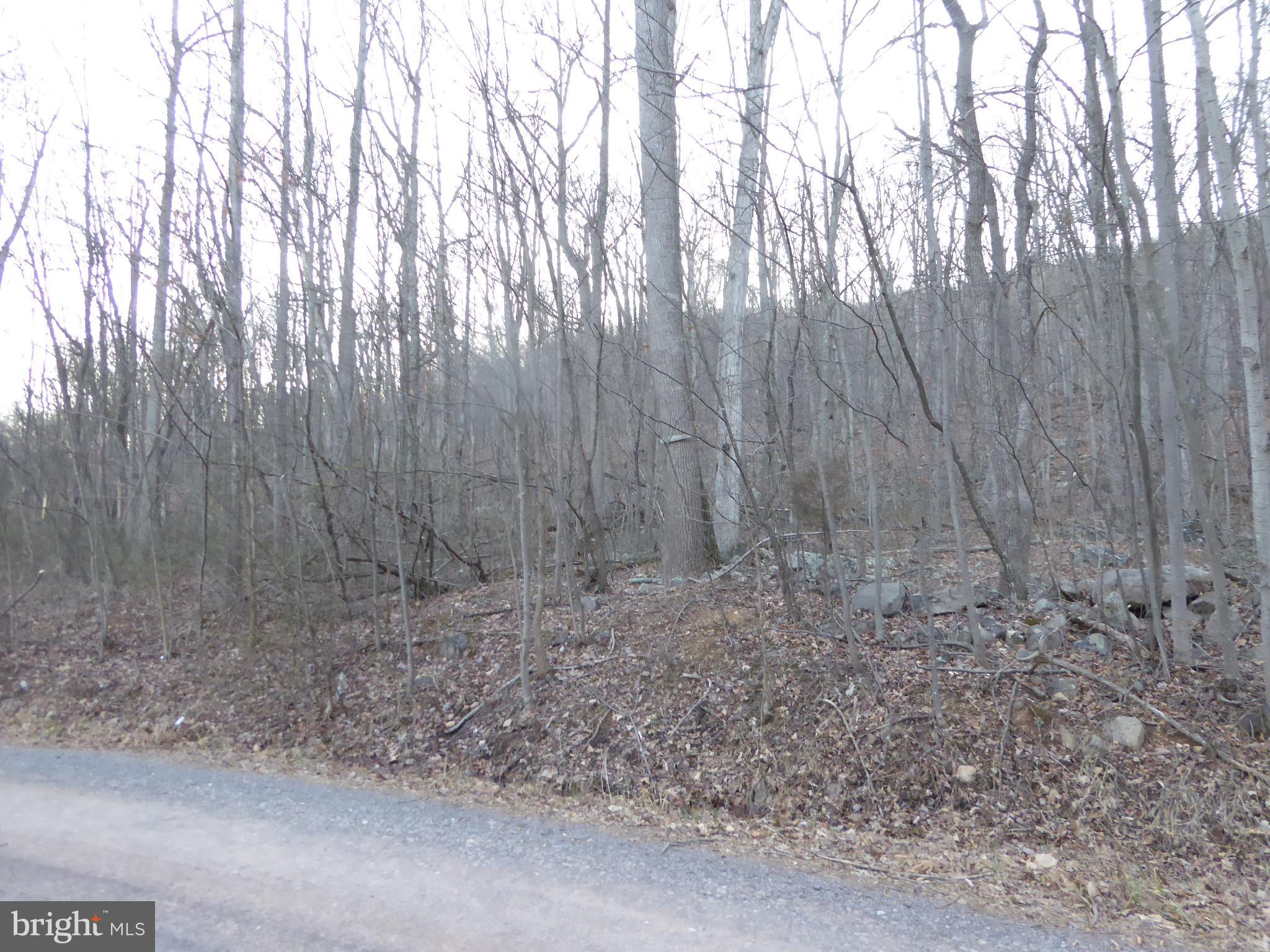 EAGLE MOUNTAIN - Land