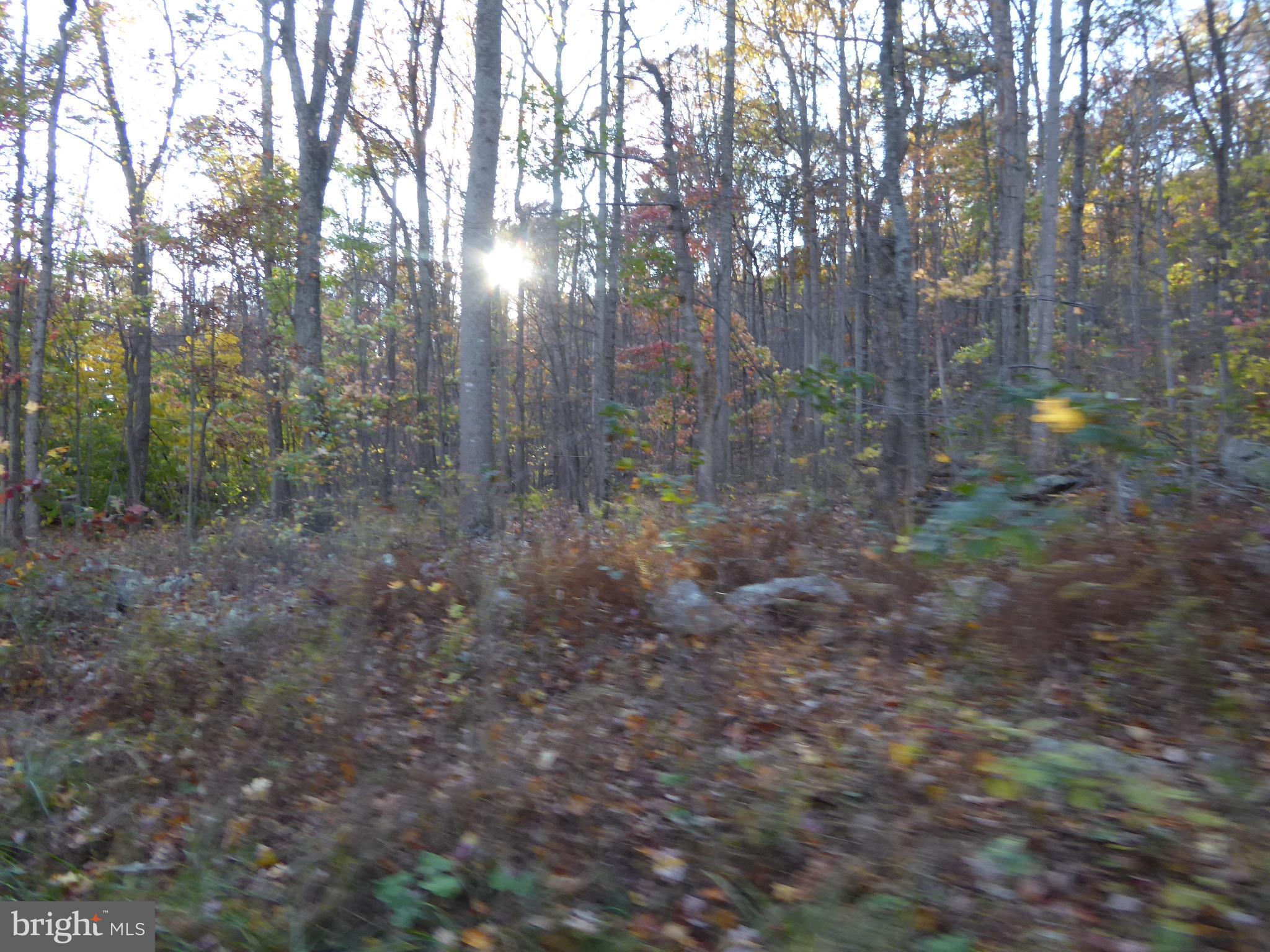 EAGLE MOUNTAIN - Land