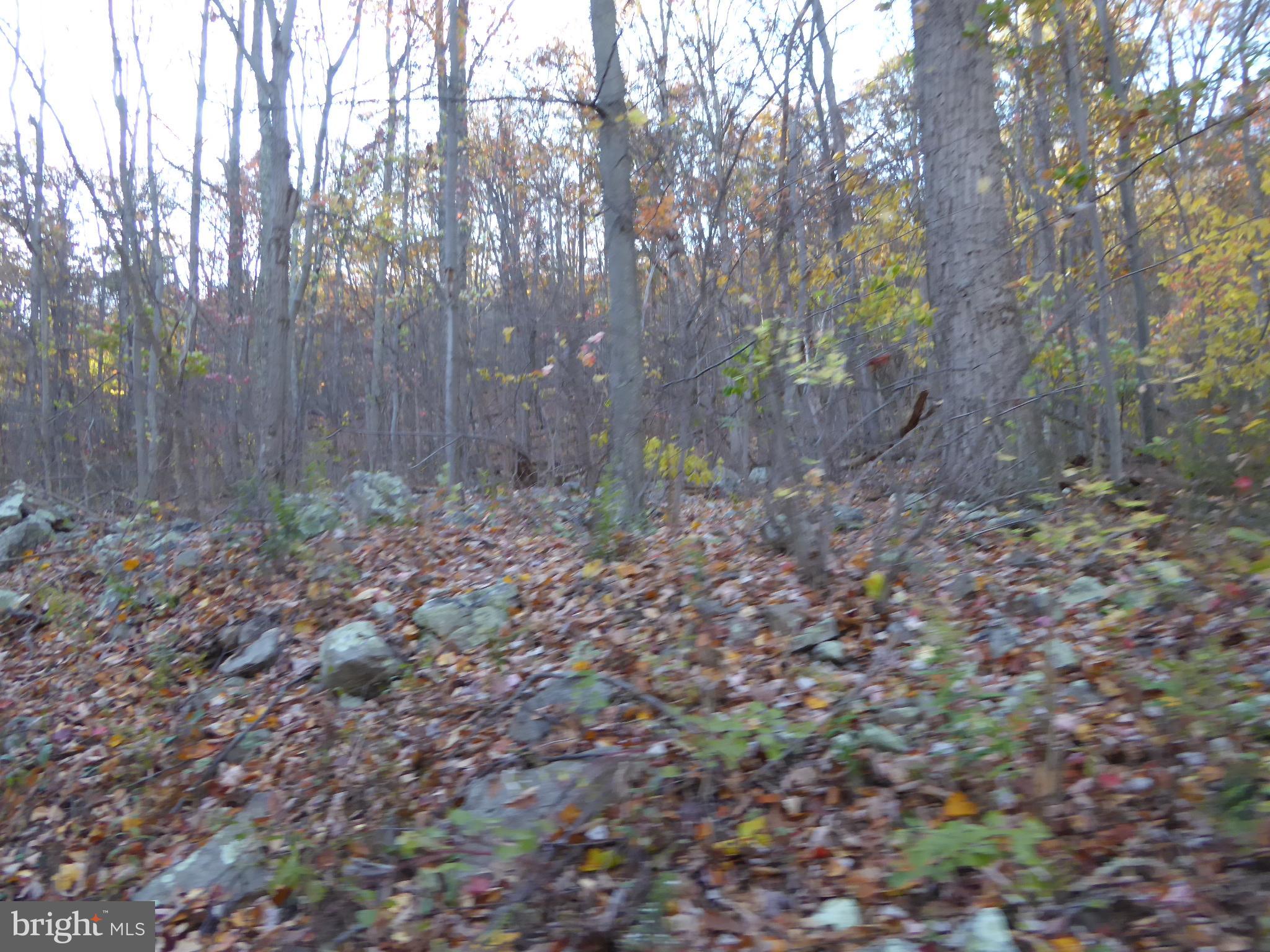 EAGLE MOUNTAIN - Land