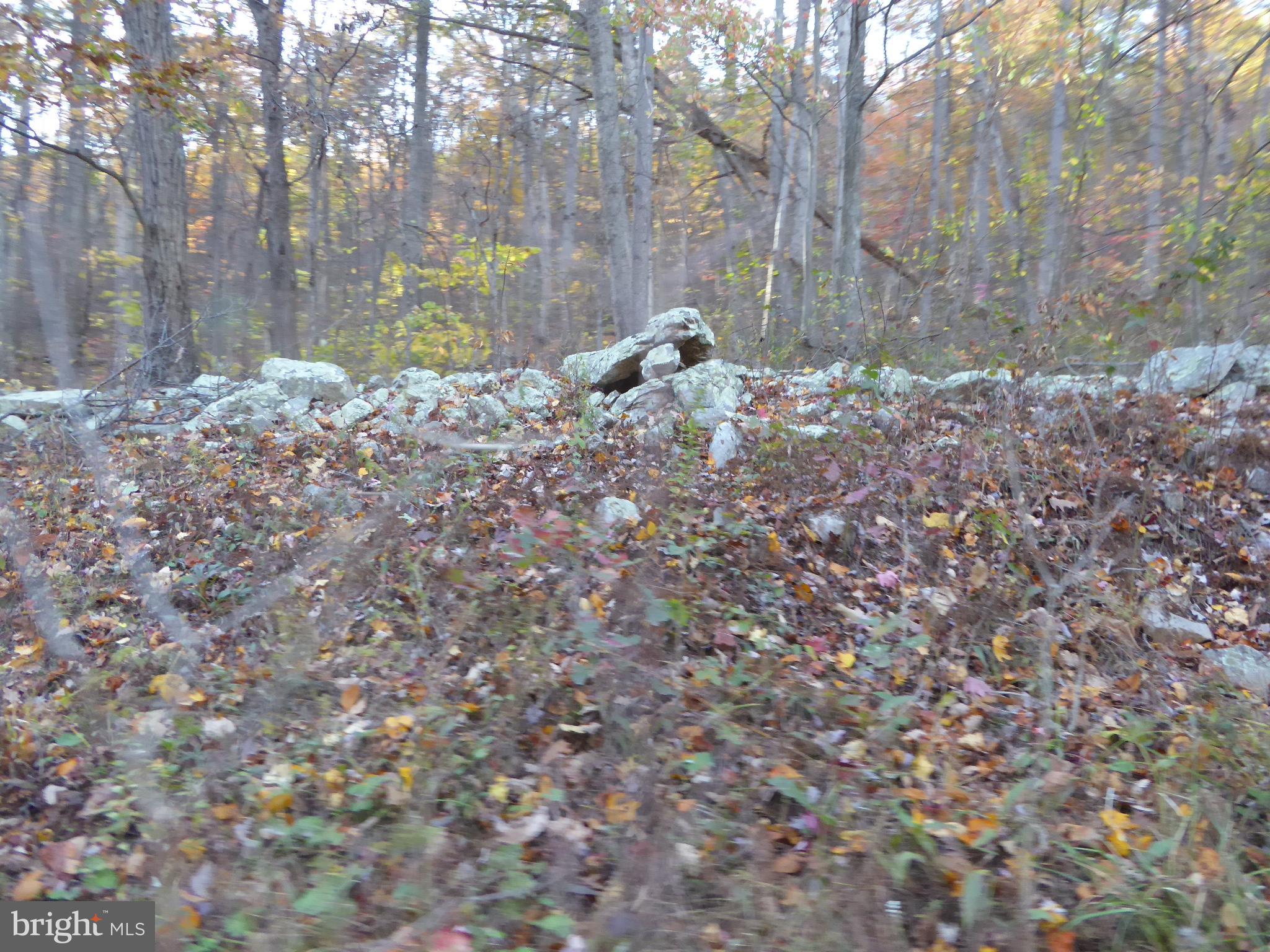 EAGLE MOUNTAIN - Land